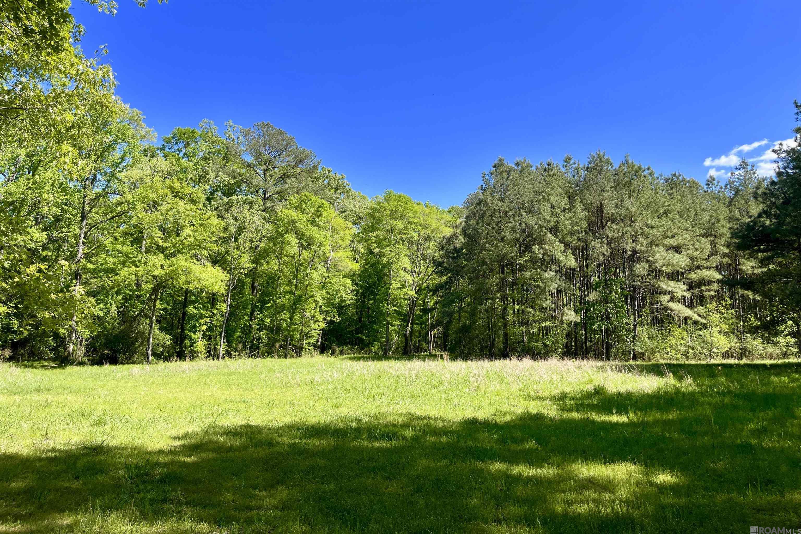 100 La Hwy 422, Norwood, Louisiana image 1