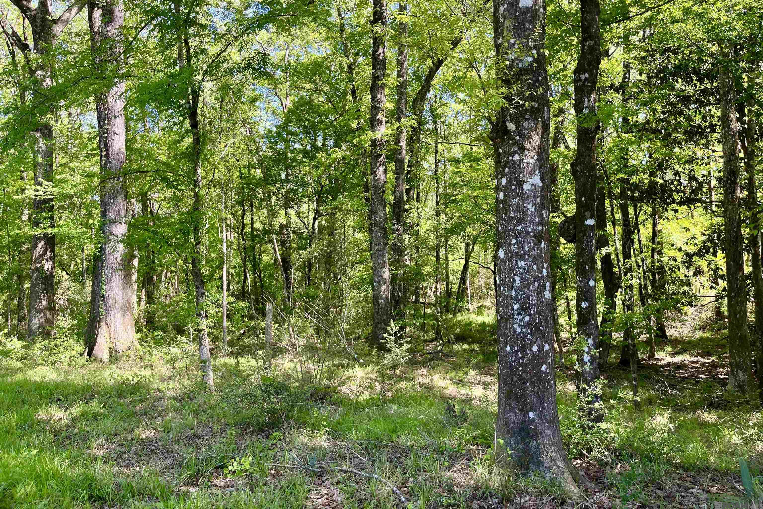 100 La Hwy 422, Norwood, Louisiana image 35