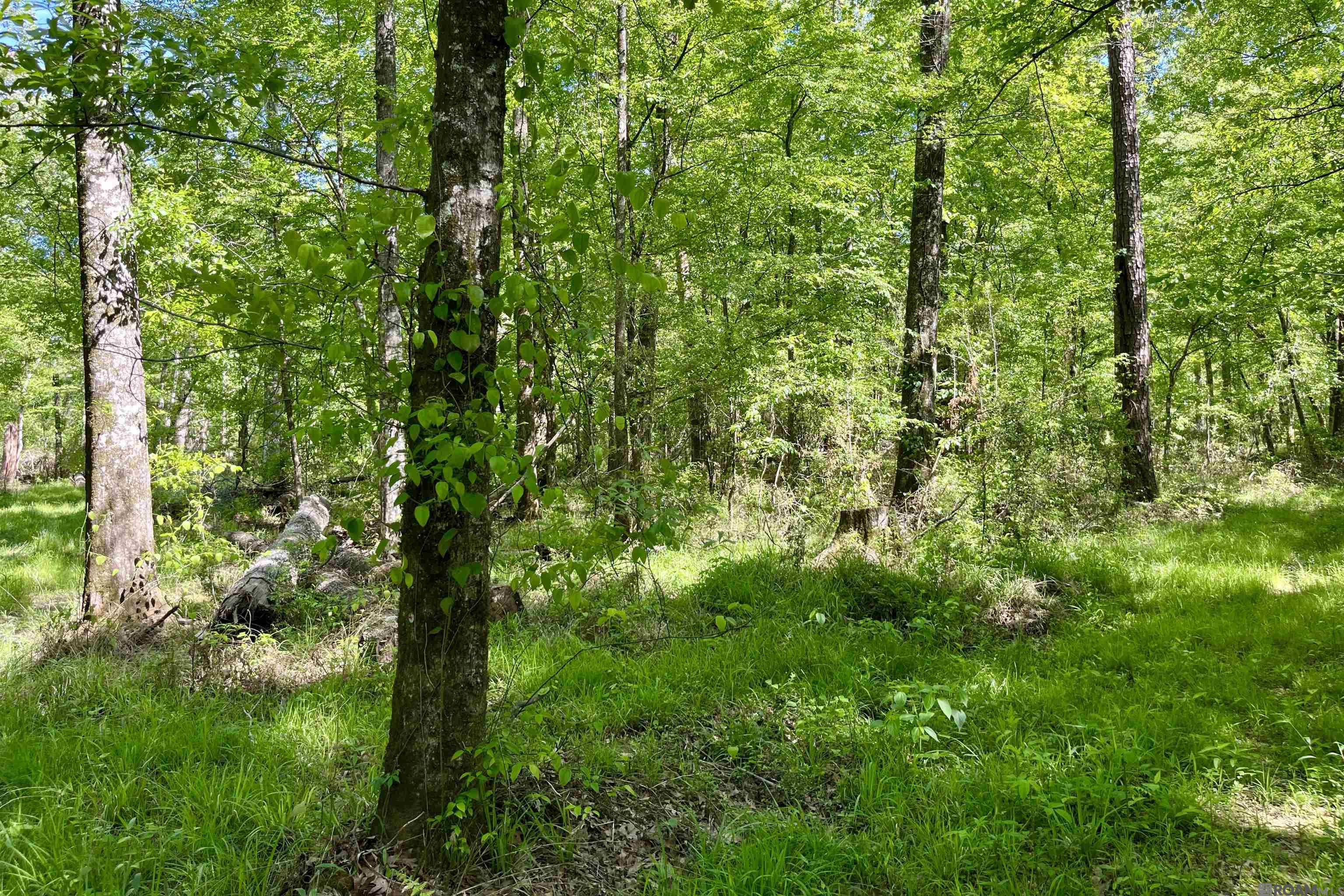 100 La Hwy 422, Norwood, Louisiana image 34