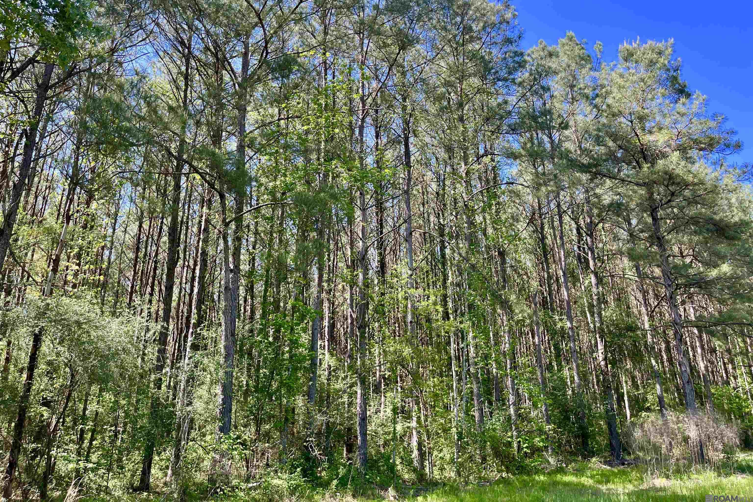 100 La Hwy 422, Norwood, Louisiana image 20