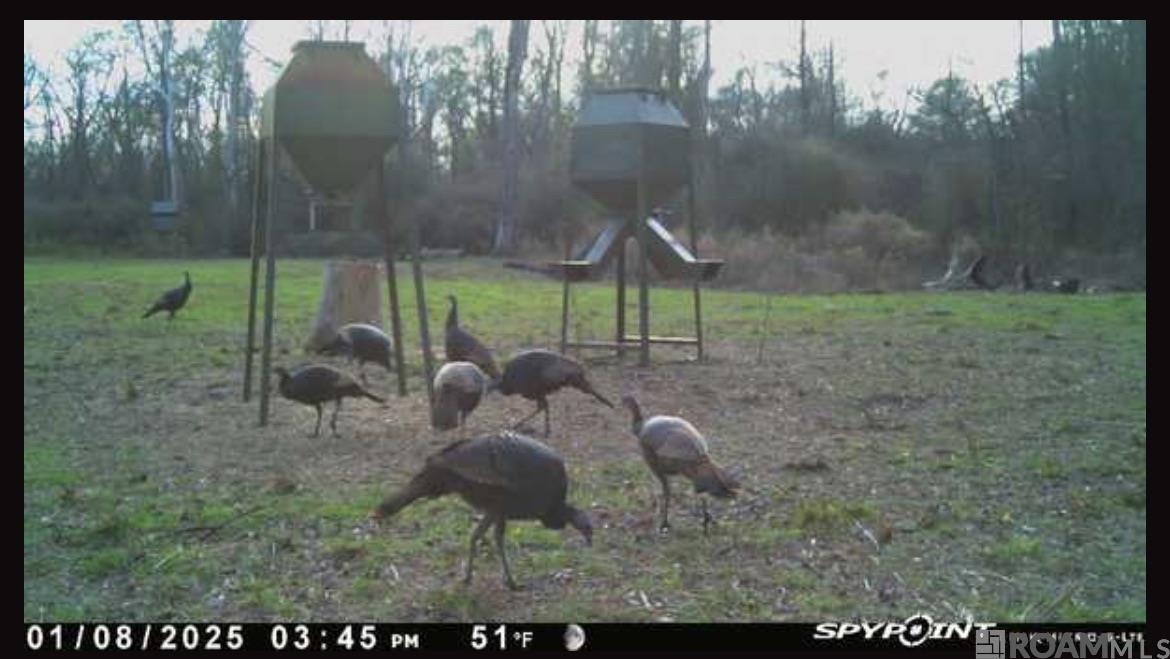100 La Hwy 422, Norwood, Louisiana image 4