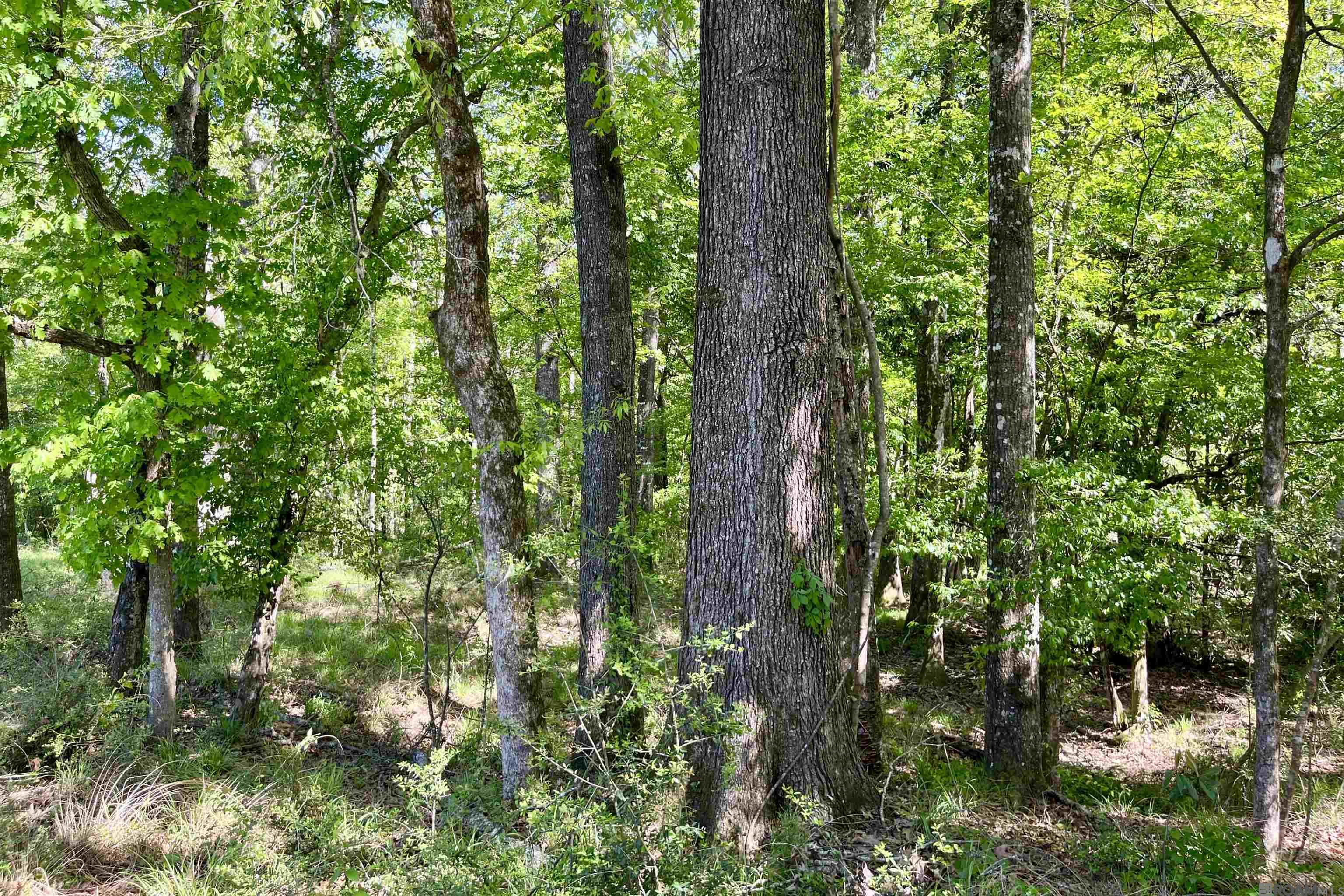 100 La Hwy 422, Norwood, Louisiana image 31