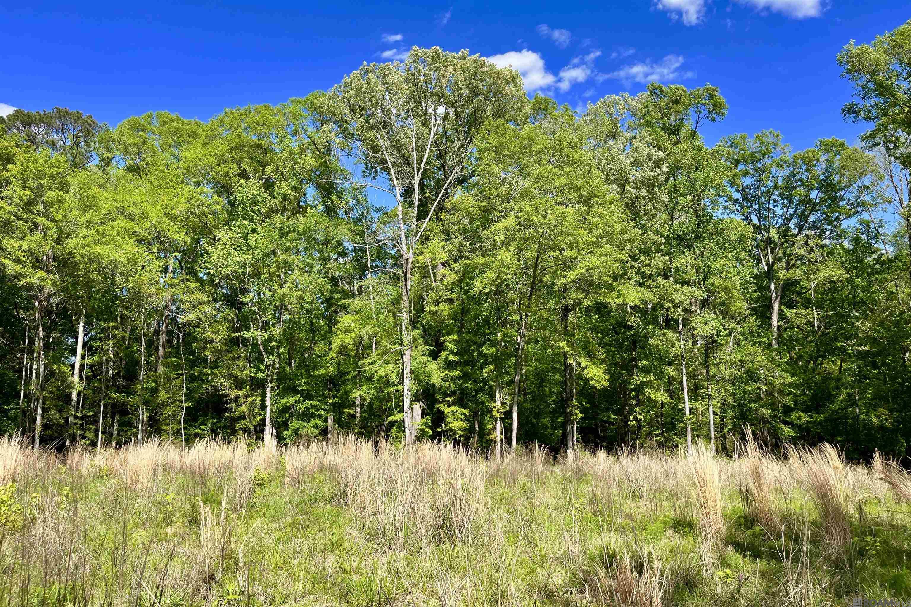 100 La Hwy 422, Norwood, Louisiana image 11