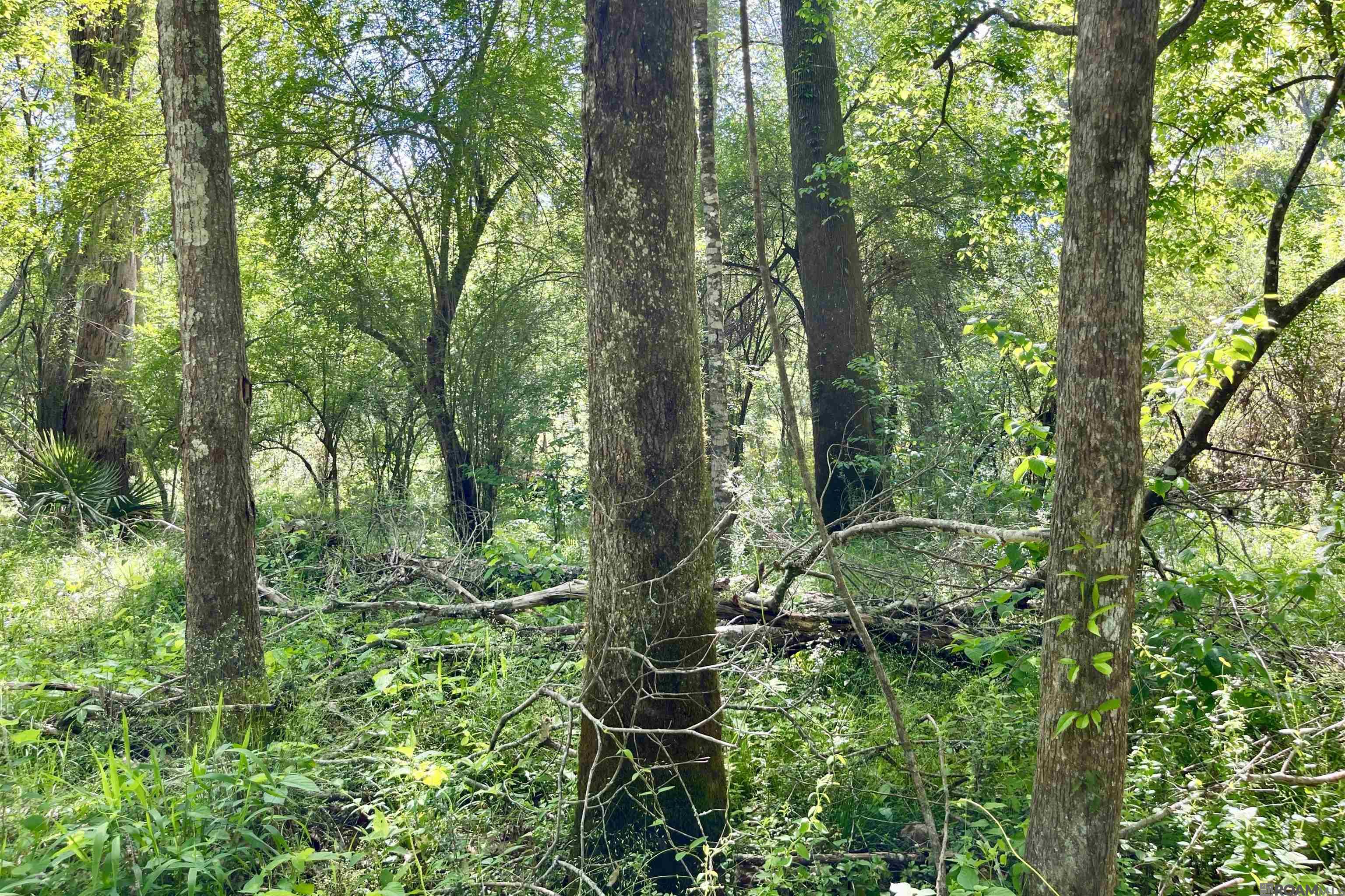 100 La Hwy 422, Norwood, Louisiana image 40
