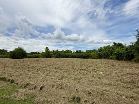 Vacant Land For Sale - 2-A E 40th St<br/> Lafourche County, Cut Off, LA 70345