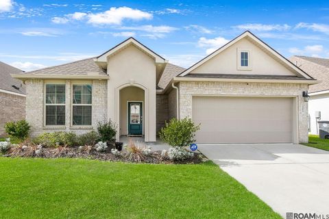 Homes For Sale - 13812 Bellacosa Ave<br/> Baton Rouge, LA 70817