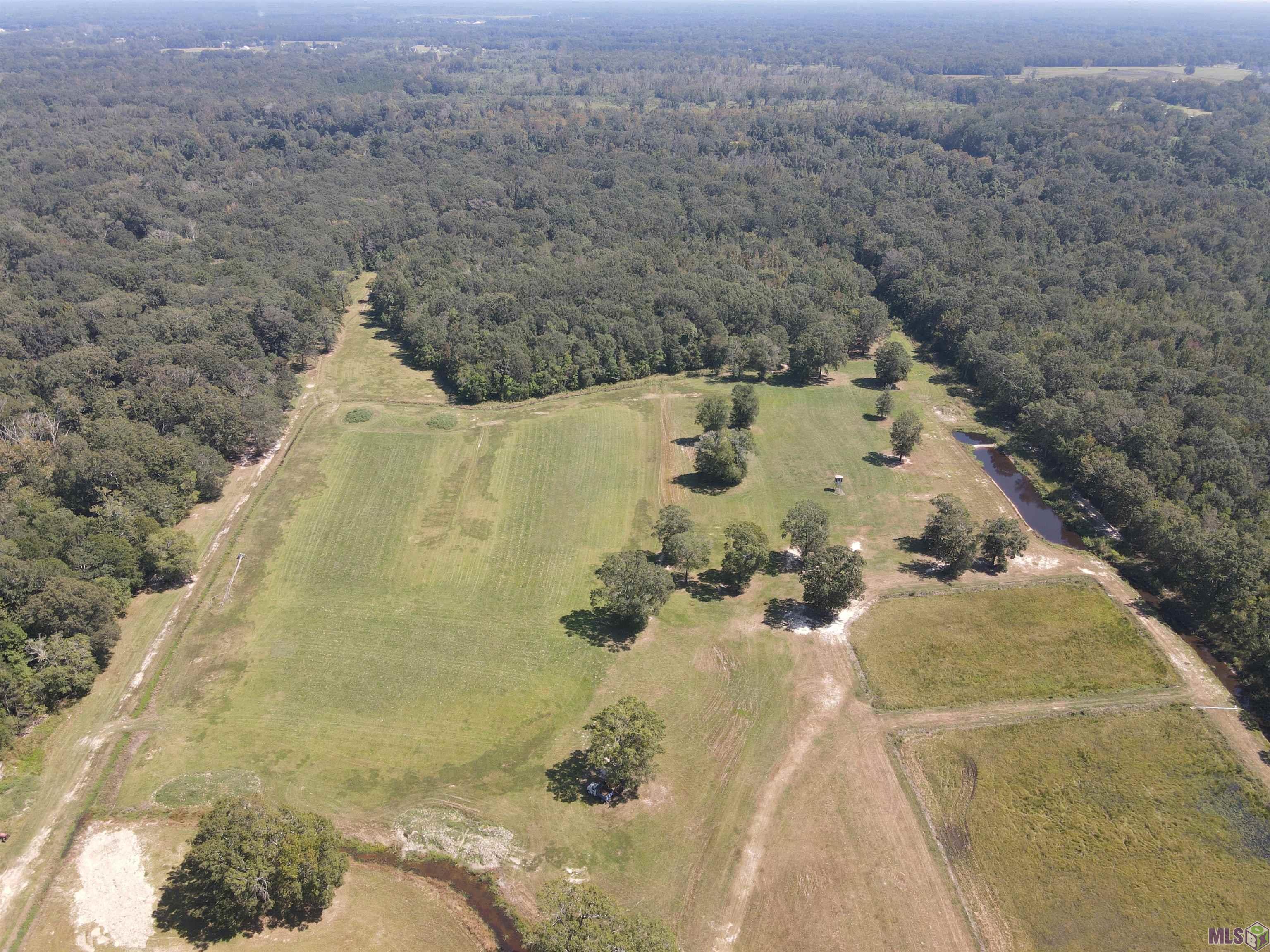 17176 Charlton Rd, Baker, Louisiana image 6