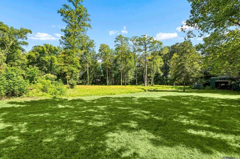 Vacant Land For Sale - 42082 Maples Ln<br/> Ascension County, Gonzales, LA 70737