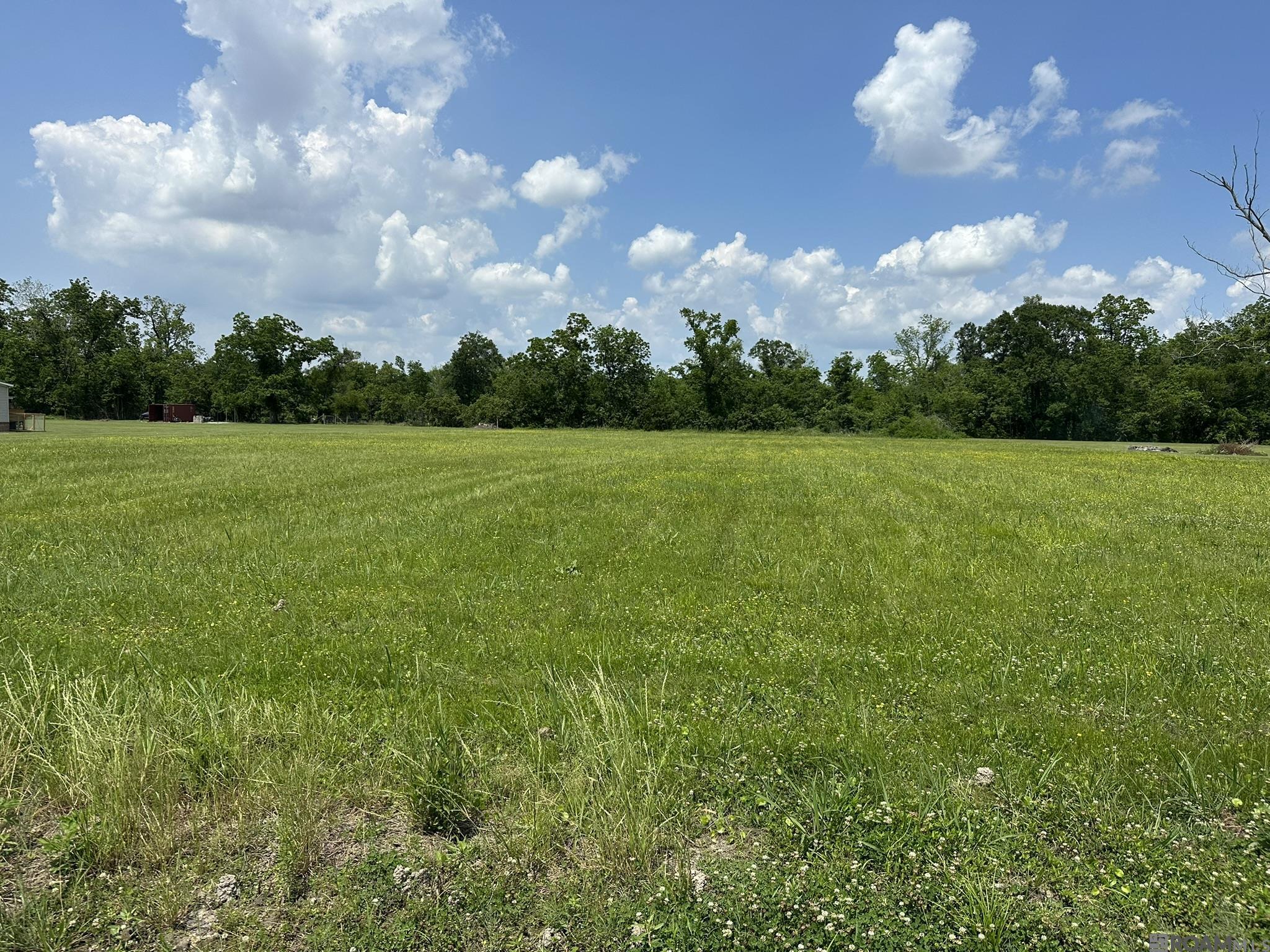 4145 Bowden Rd, Geismar, Louisiana image 1