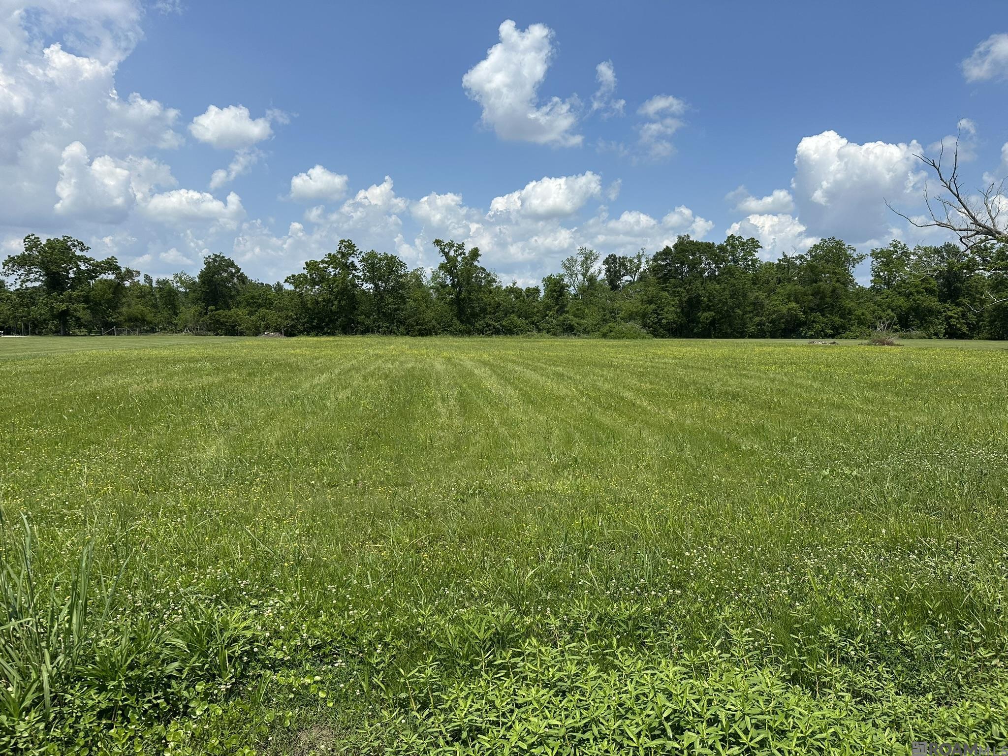 4145 Bowden Rd, Geismar, Louisiana image 3