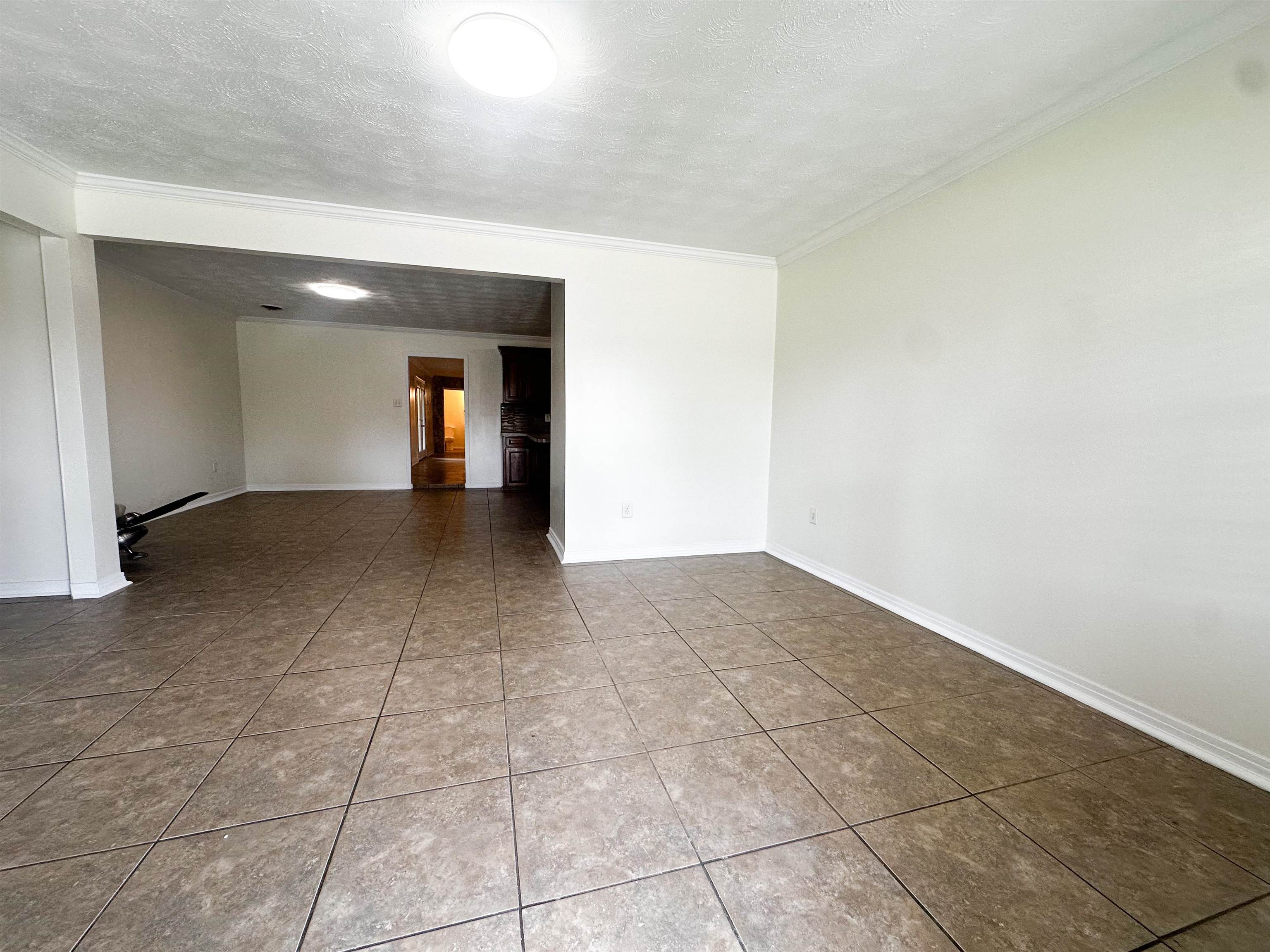 701 Linda Ann Avenue, Gray, Louisiana image 3