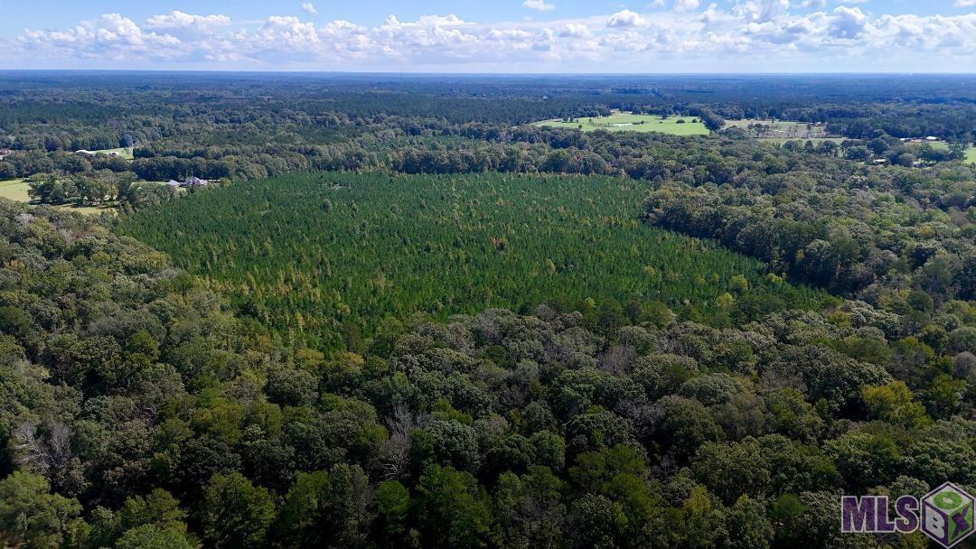 00 County Line Road, Summit, Mississippi image 2