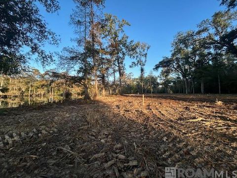 Vacant Land For Sale - 14293 Old River Rd<br/> Maurepas, LA 70449