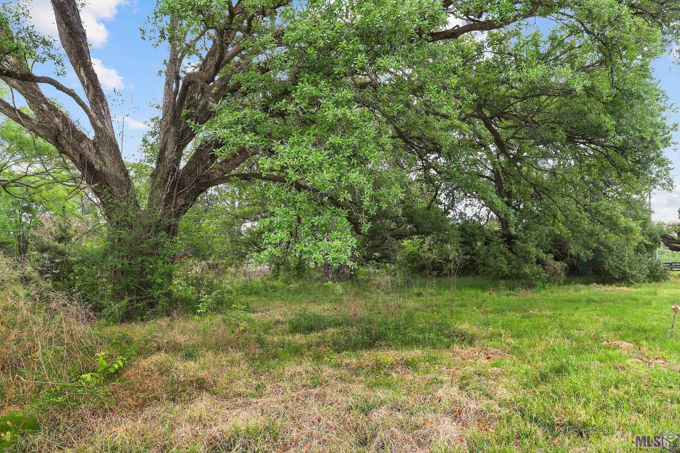 15509 Chenal Rd, Jarreau, Louisiana image 2