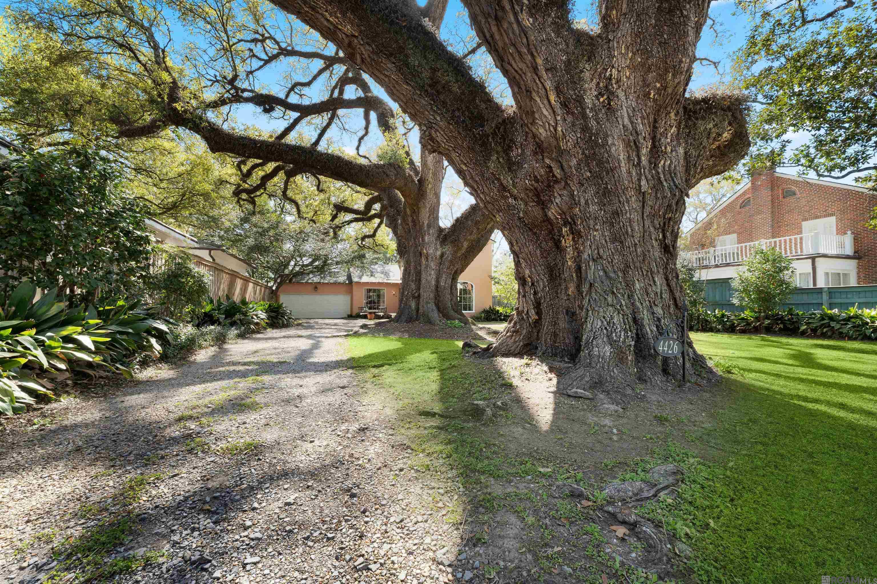 4426 Oxford Ave, Baton Rouge, Louisiana image 2