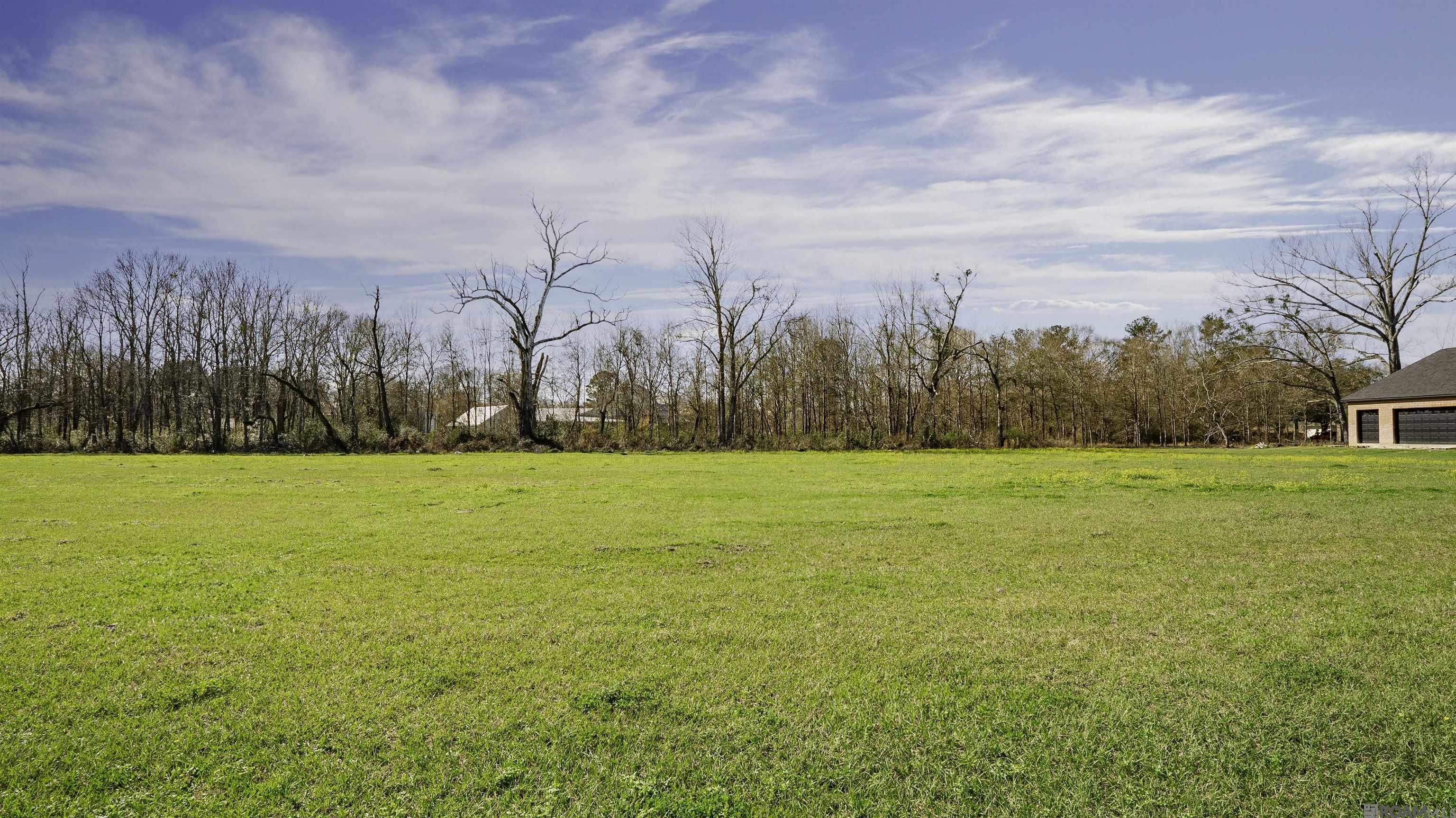 Lot 21 Manchac Reserve Dr, Baton Rouge, Louisiana image 5
