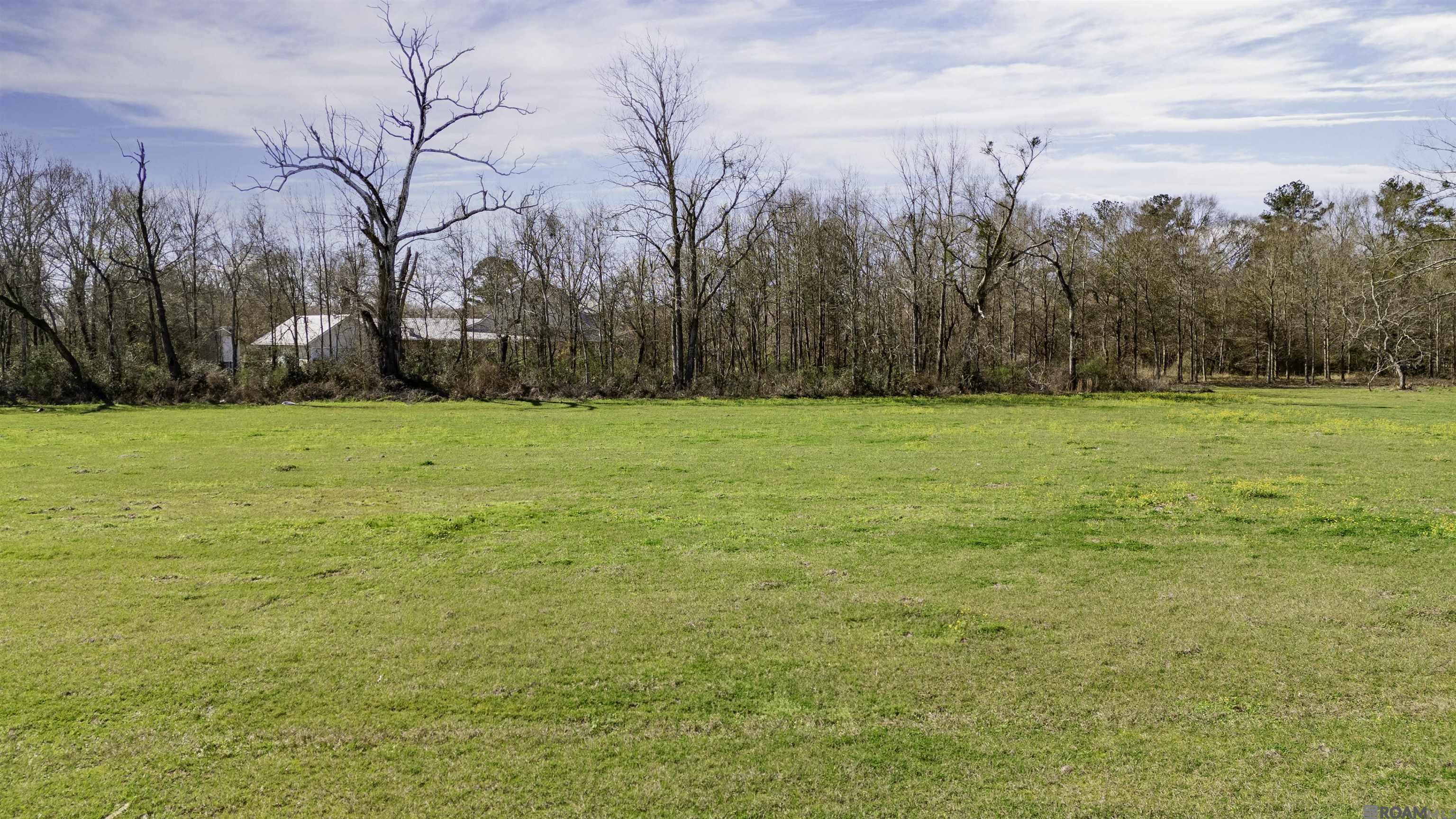 Lot 21 Manchac Reserve Dr, Baton Rouge, Louisiana image 3