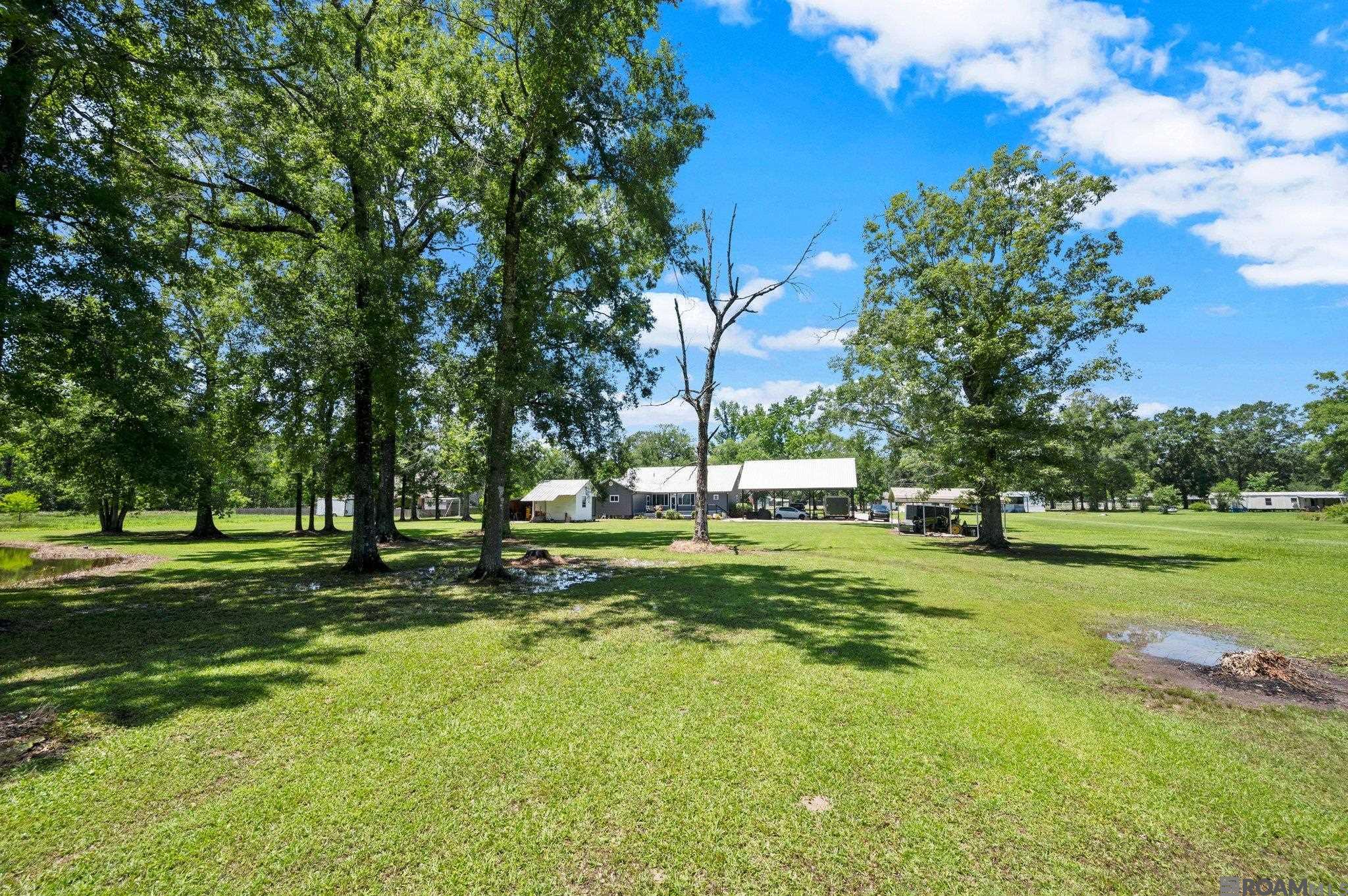 21320 Walker South Rd, Denham Springs, Louisiana image 7