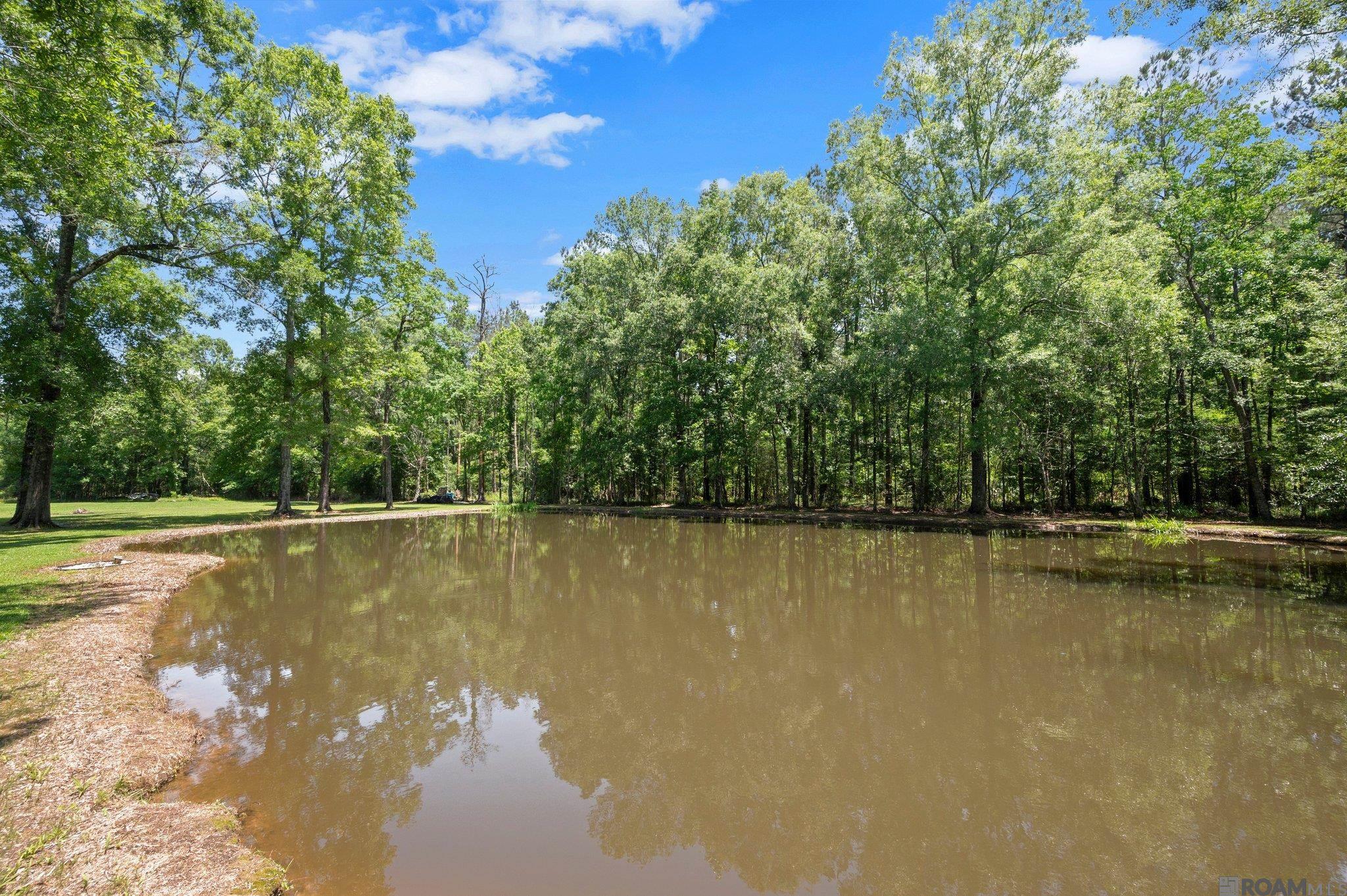 21320 Walker South Rd, Denham Springs, Louisiana image 37