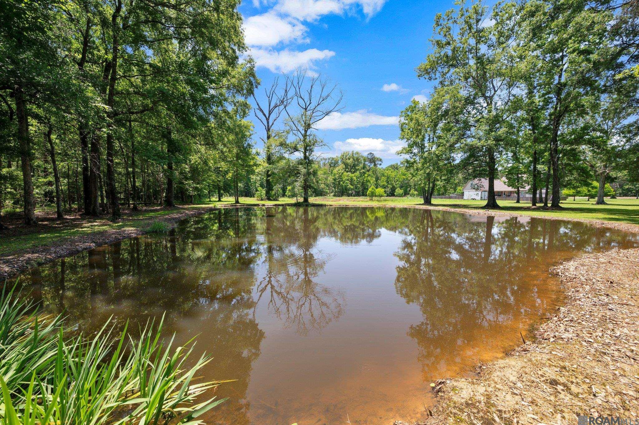 21320 Walker South Rd, Denham Springs, Louisiana image 36