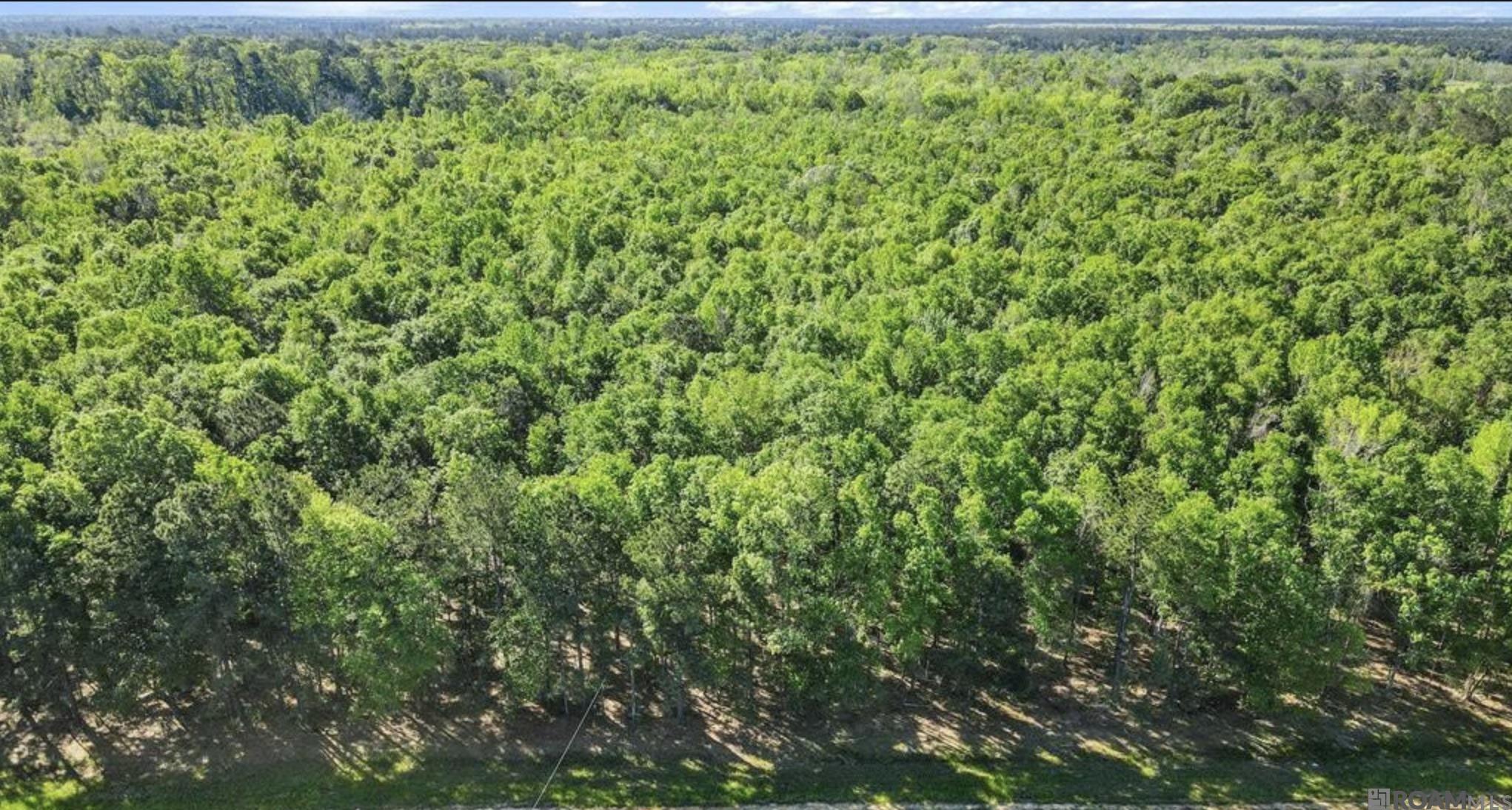 Lot SF-14 La Hwy 16, Denham Springs, Louisiana image 5