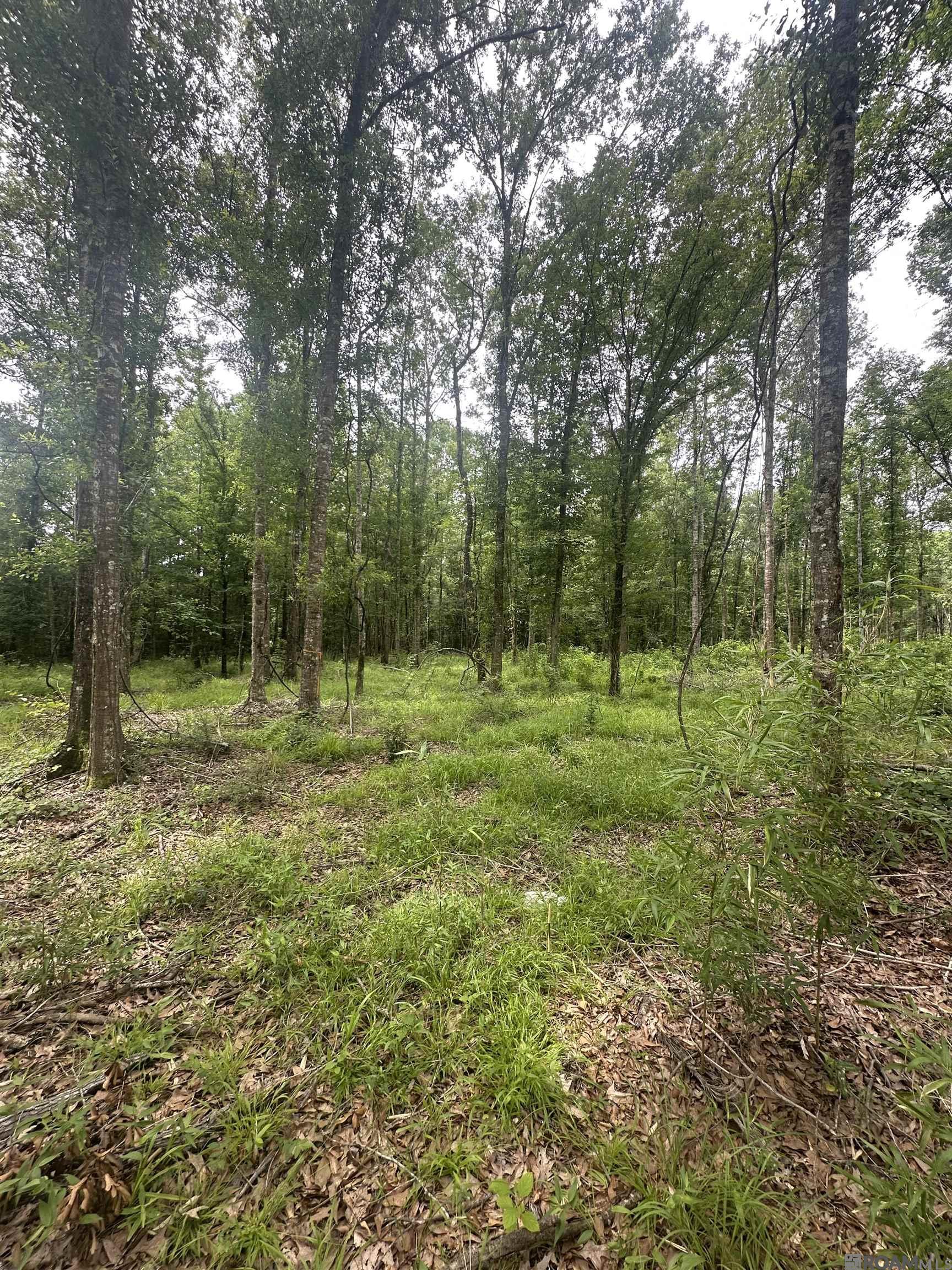 Lot SF-14 La Hwy 16, Denham Springs, Louisiana image 1