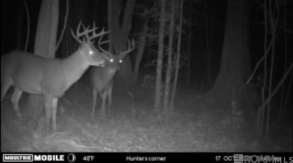 Lot SF-14 La Hwy 16, Denham Springs, Louisiana image 7