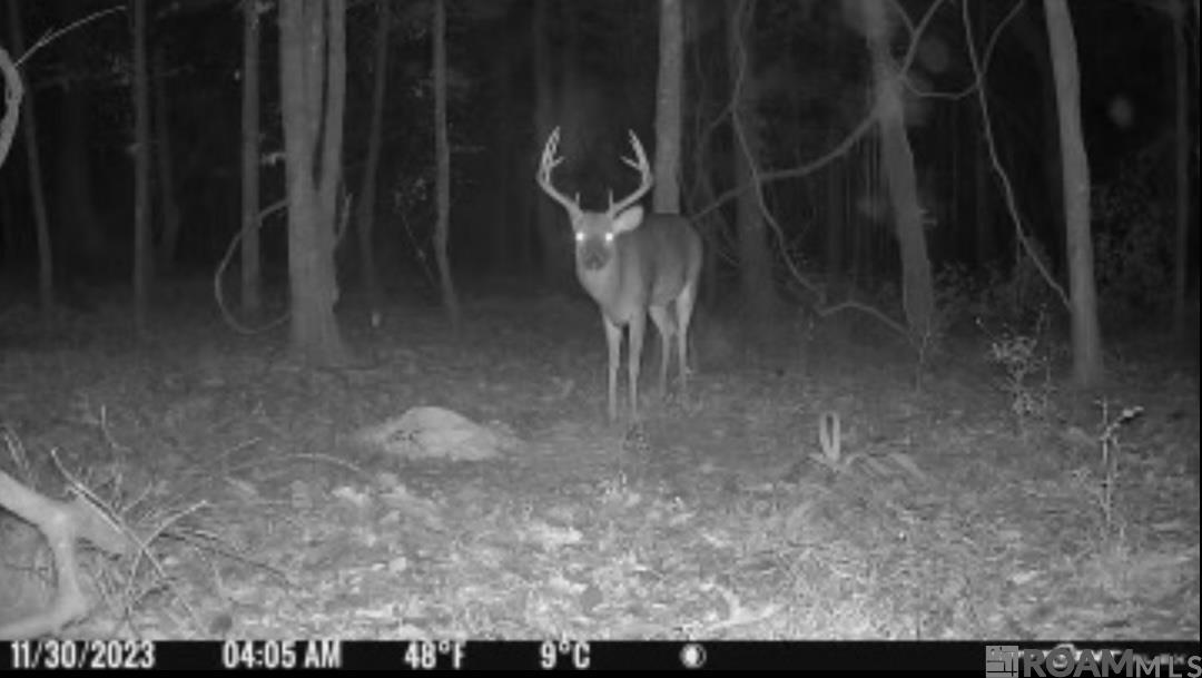Lot SF-14 La Hwy 16, Denham Springs, Louisiana image 10