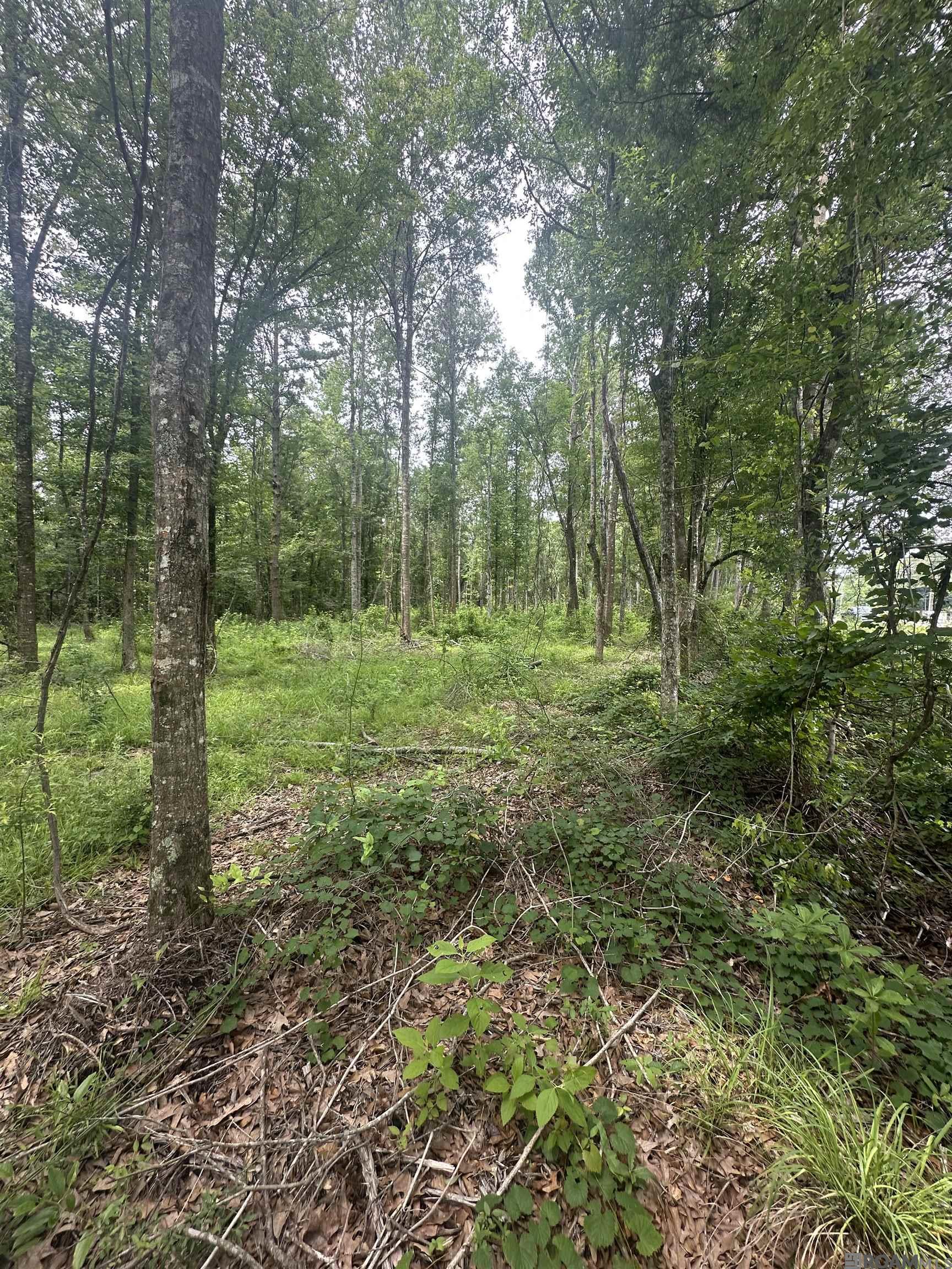 Lot SF-14 La Hwy 16, Denham Springs, Louisiana image 4