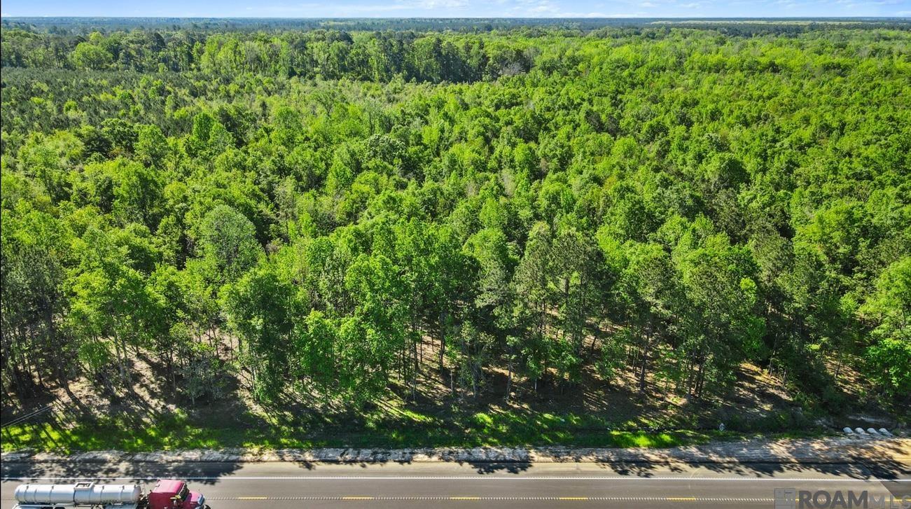Lot SF-14 La Hwy 16, Denham Springs, Louisiana image 6
