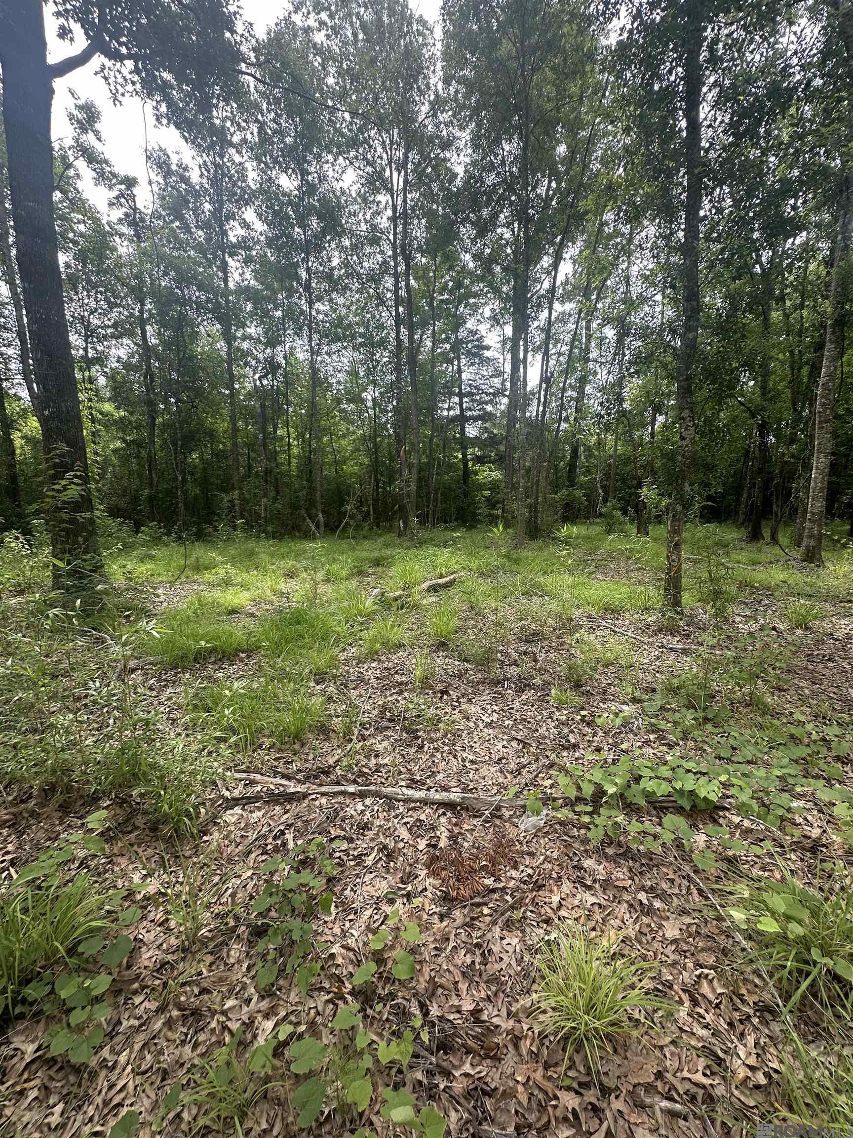 Lot SF-14 La Hwy 16, Denham Springs, Louisiana image 2