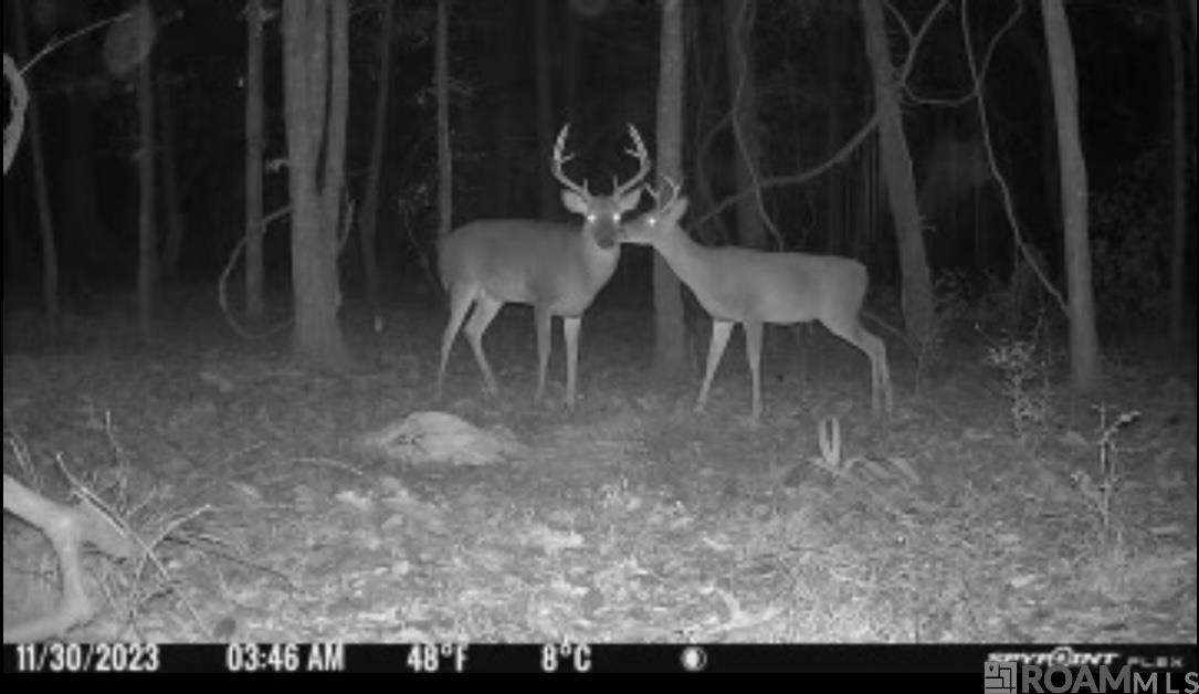 Lot SF-14 La Hwy 16, Denham Springs, Louisiana image 8
