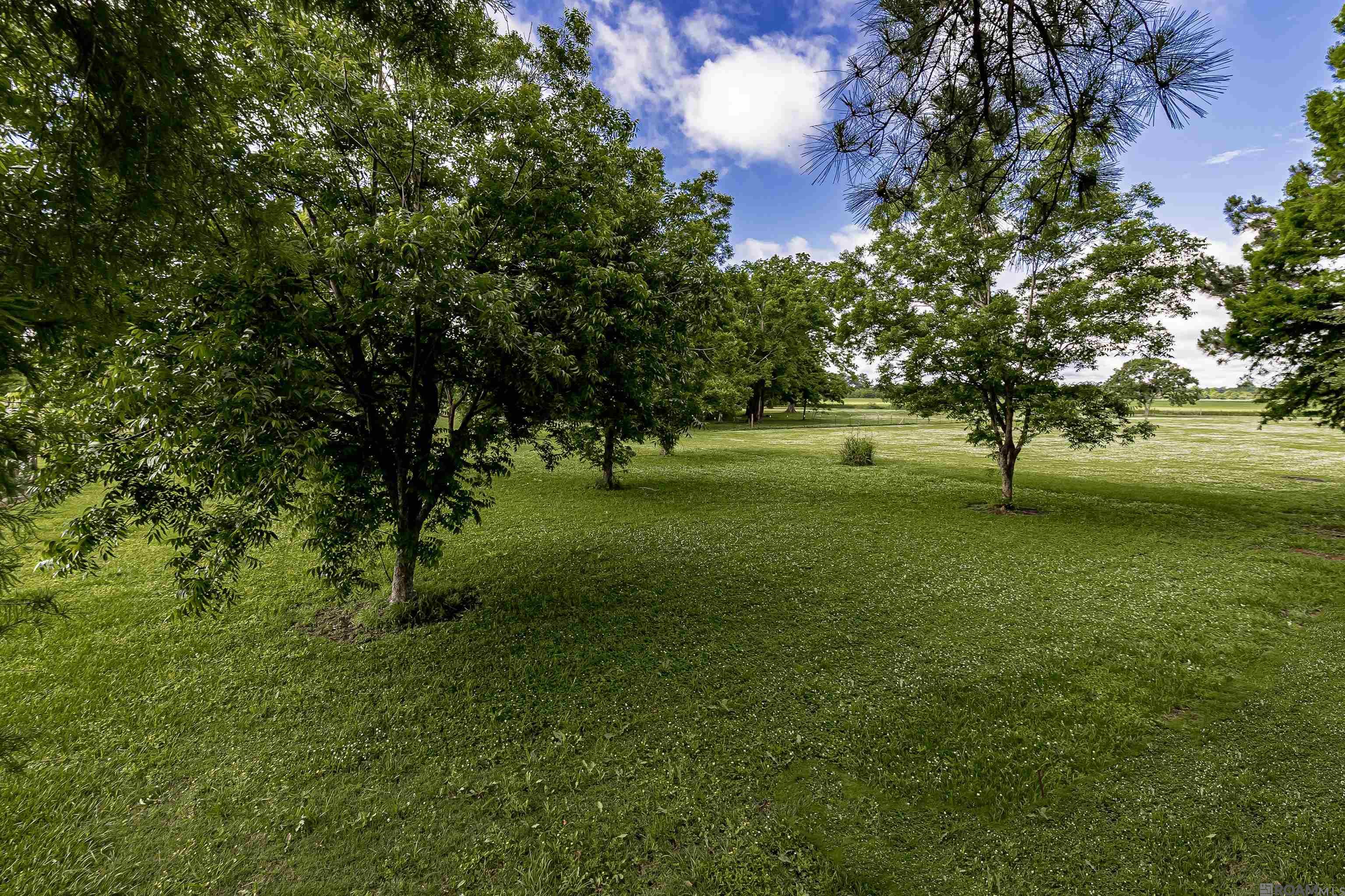 8868 Elton St, Livonia, Louisiana image 45