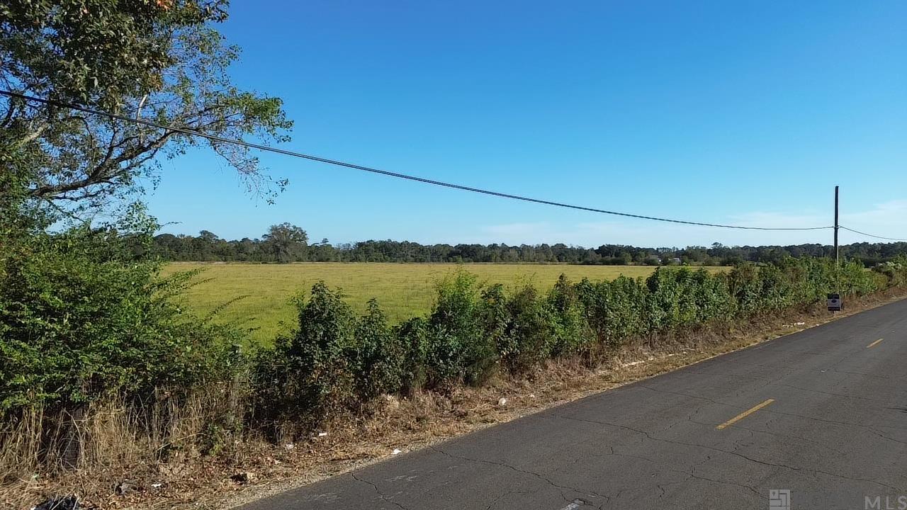 Tract 1-A Old Us 51 Highway, Amite, Louisiana image 9