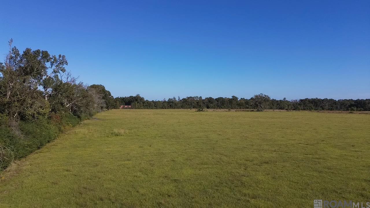 Tract 1-A Old Us 51 Highway, Amite, Louisiana image 1