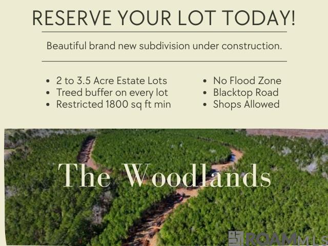 Lot 18 Honey Grove, Livingston, Louisiana image 1