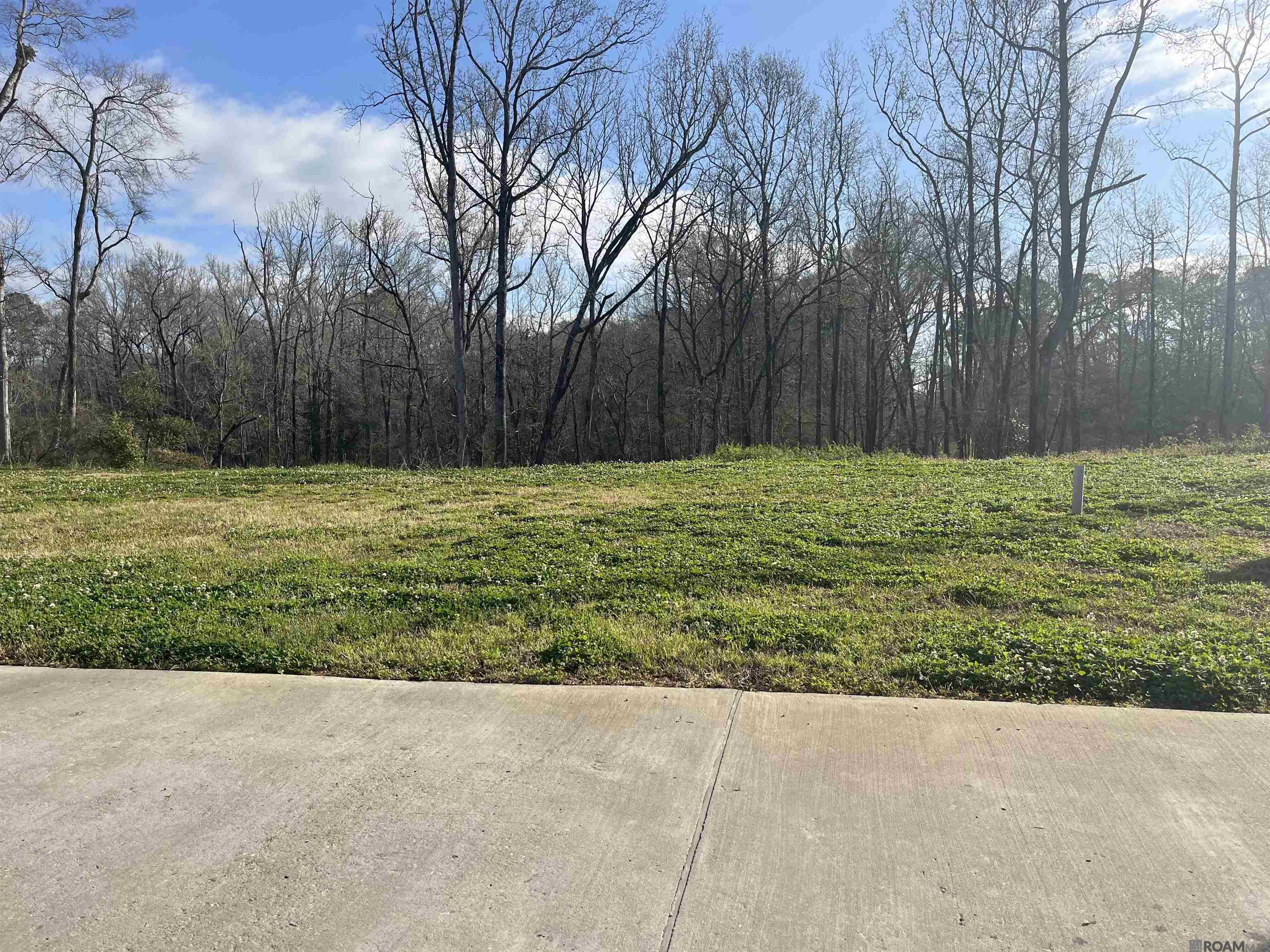 2054 Gaspers Trace, Saint Francisville, Louisiana image 1