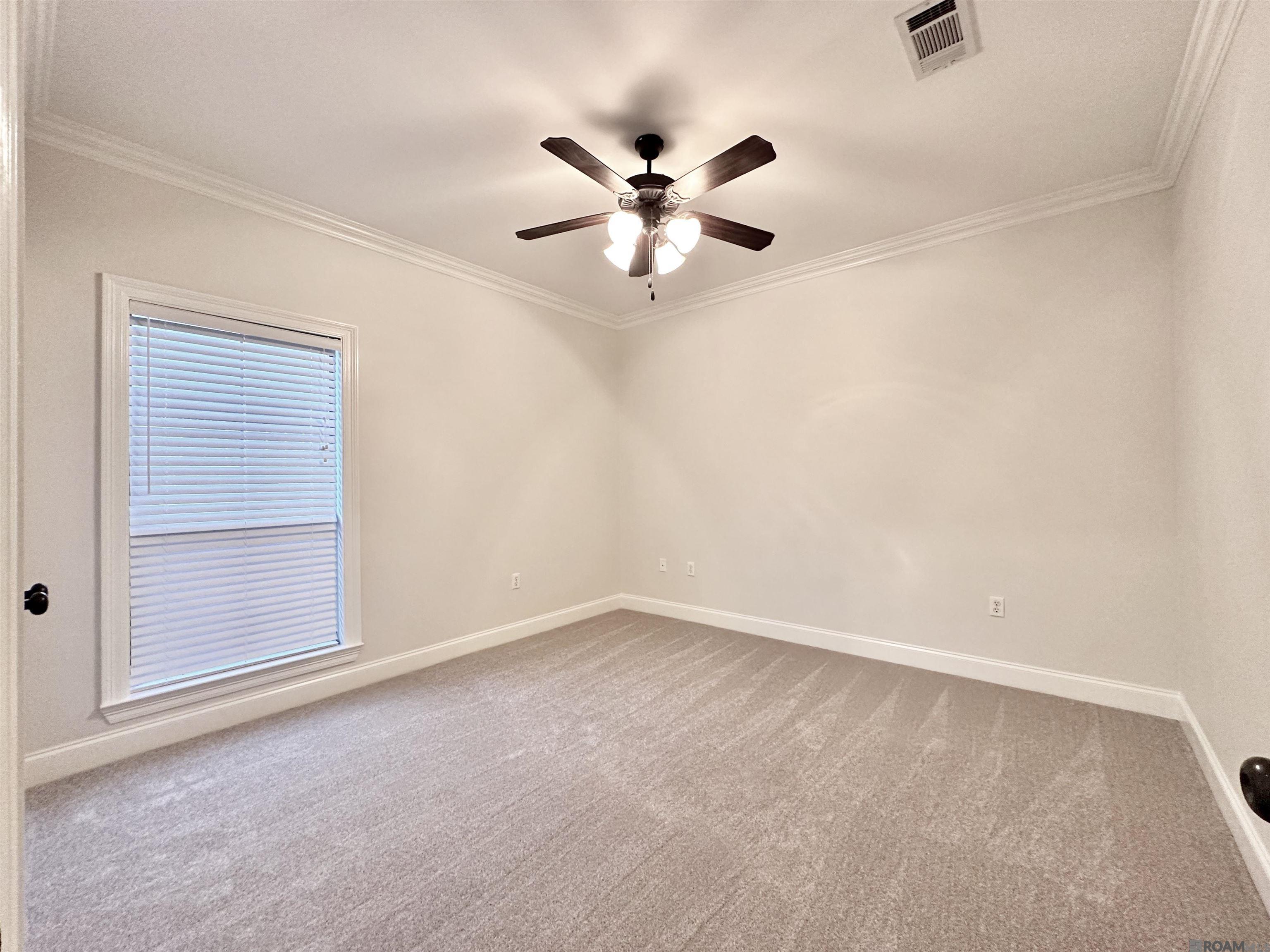 41062 Lakeway Cove Ave, Gonzales, Louisiana image 9