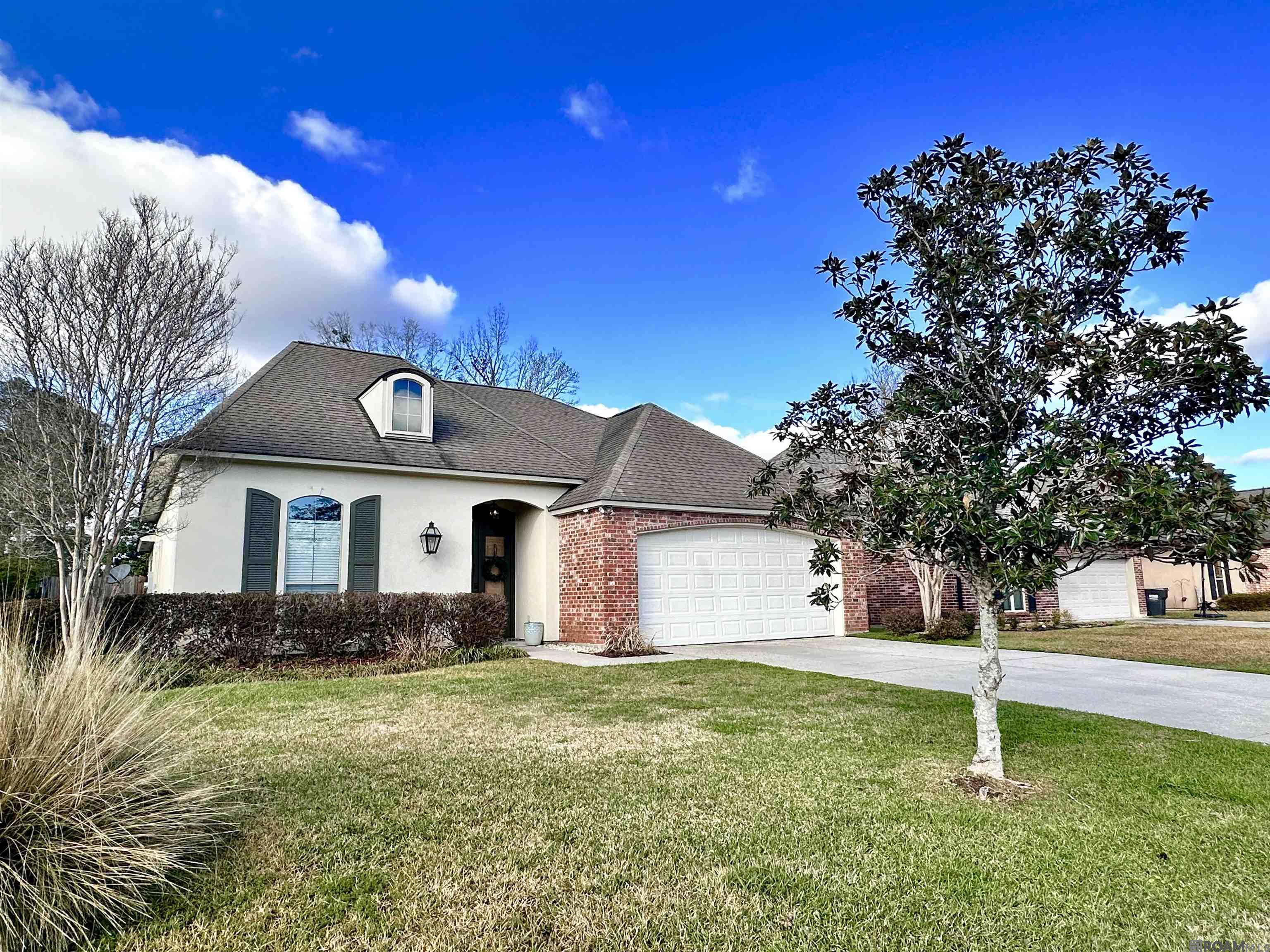 41062 Lakeway Cove Ave, Gonzales, Louisiana image 13