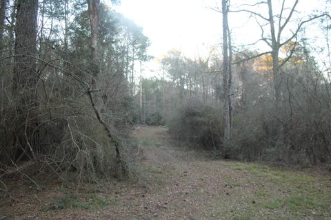 Vacant Land For Sale - TBD Odeal Williams Ln<br/> Ethel, LA 70730
