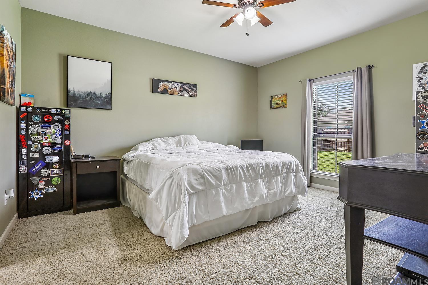 10815 Field Pointe Dr, Denham Springs, Louisiana image 7