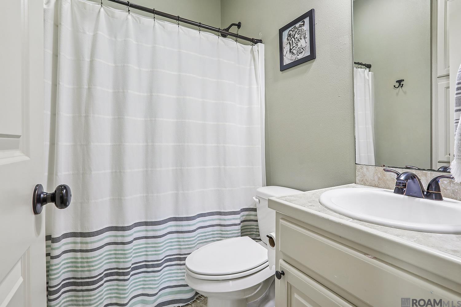 10815 Field Pointe Dr, Denham Springs, Louisiana image 10