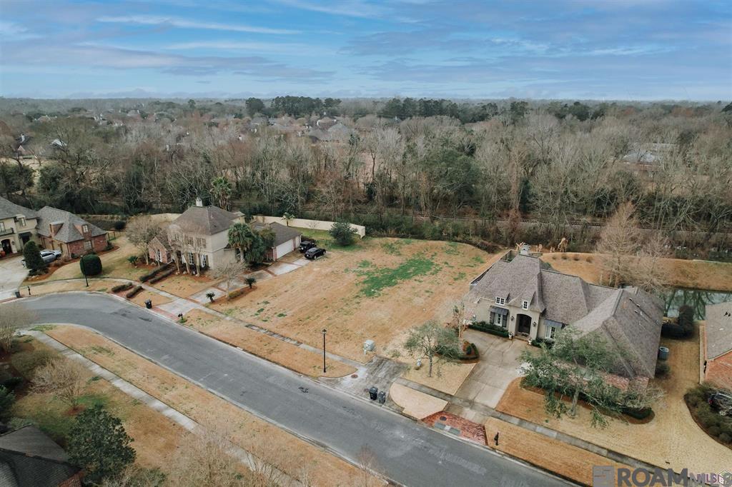 18936 Spyglass Hill Dr, Baton Rouge, Louisiana image 3