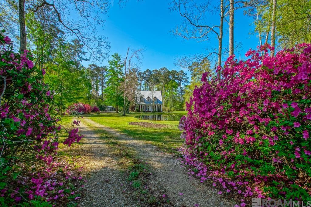 13436 E Adams Rd, Hammond, Louisiana image 2
