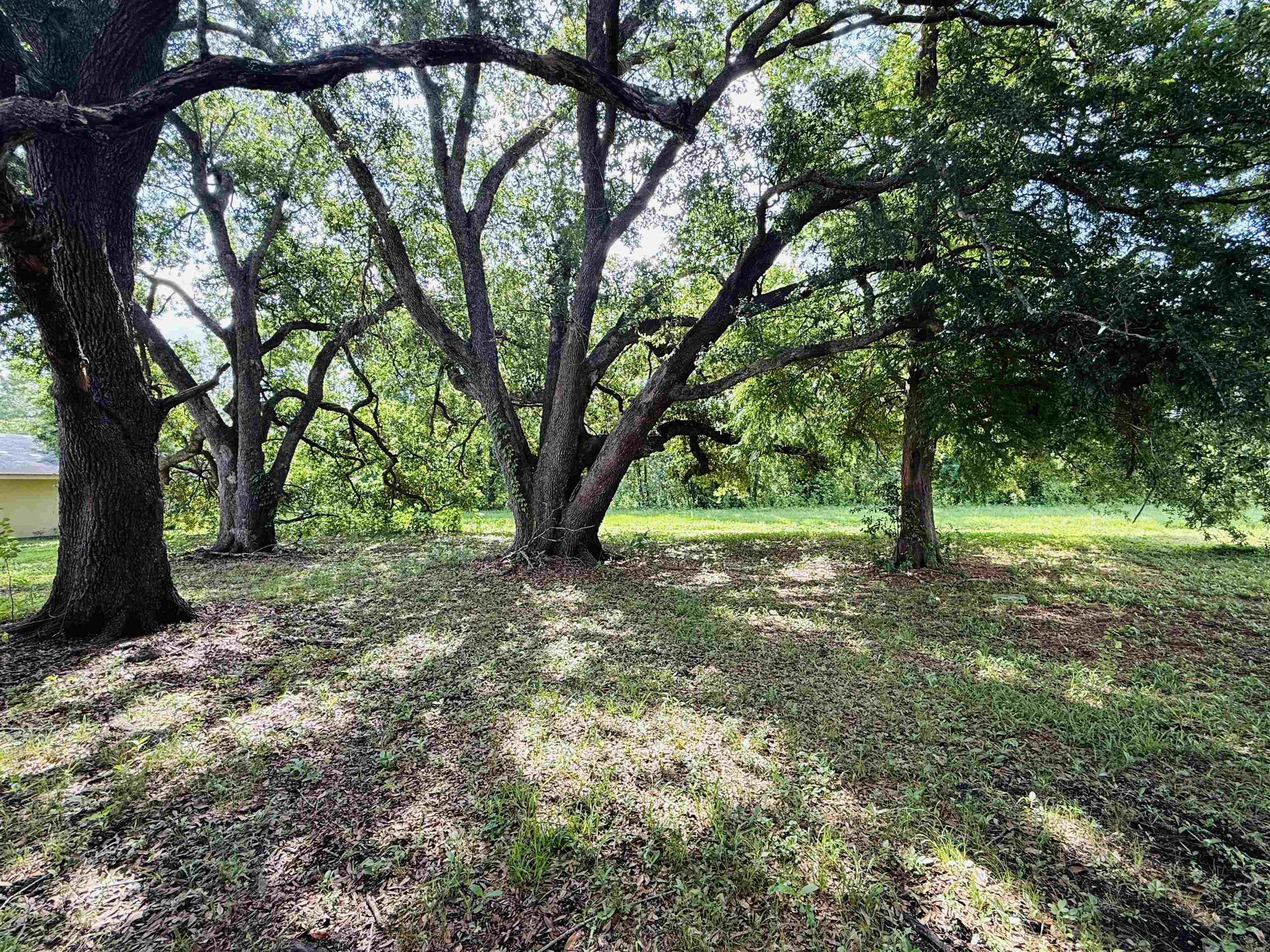 293 St Ann St, Raceland, Louisiana image 11