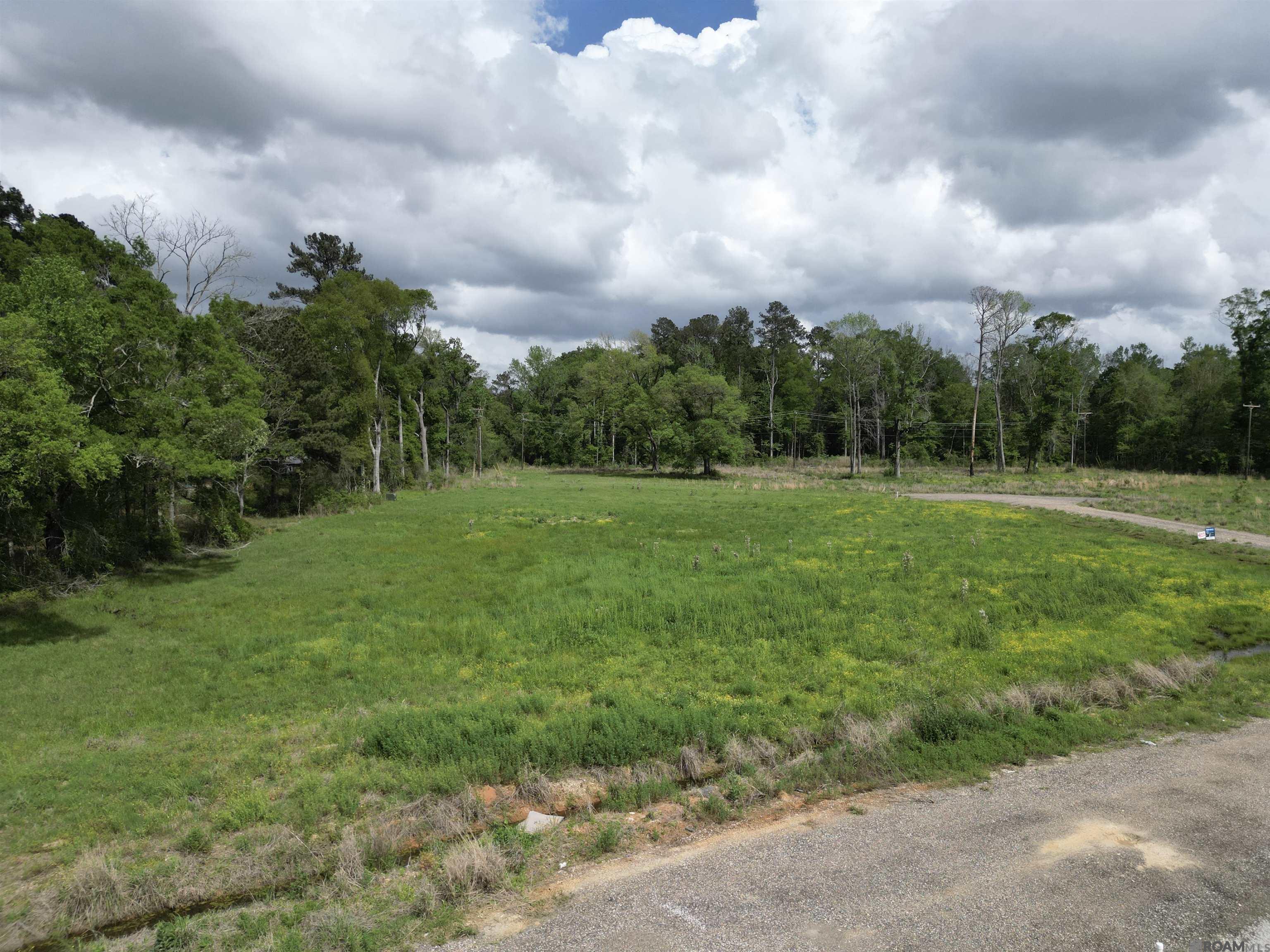 38738 La Hwy 16, Denham Springs, Louisiana image 8