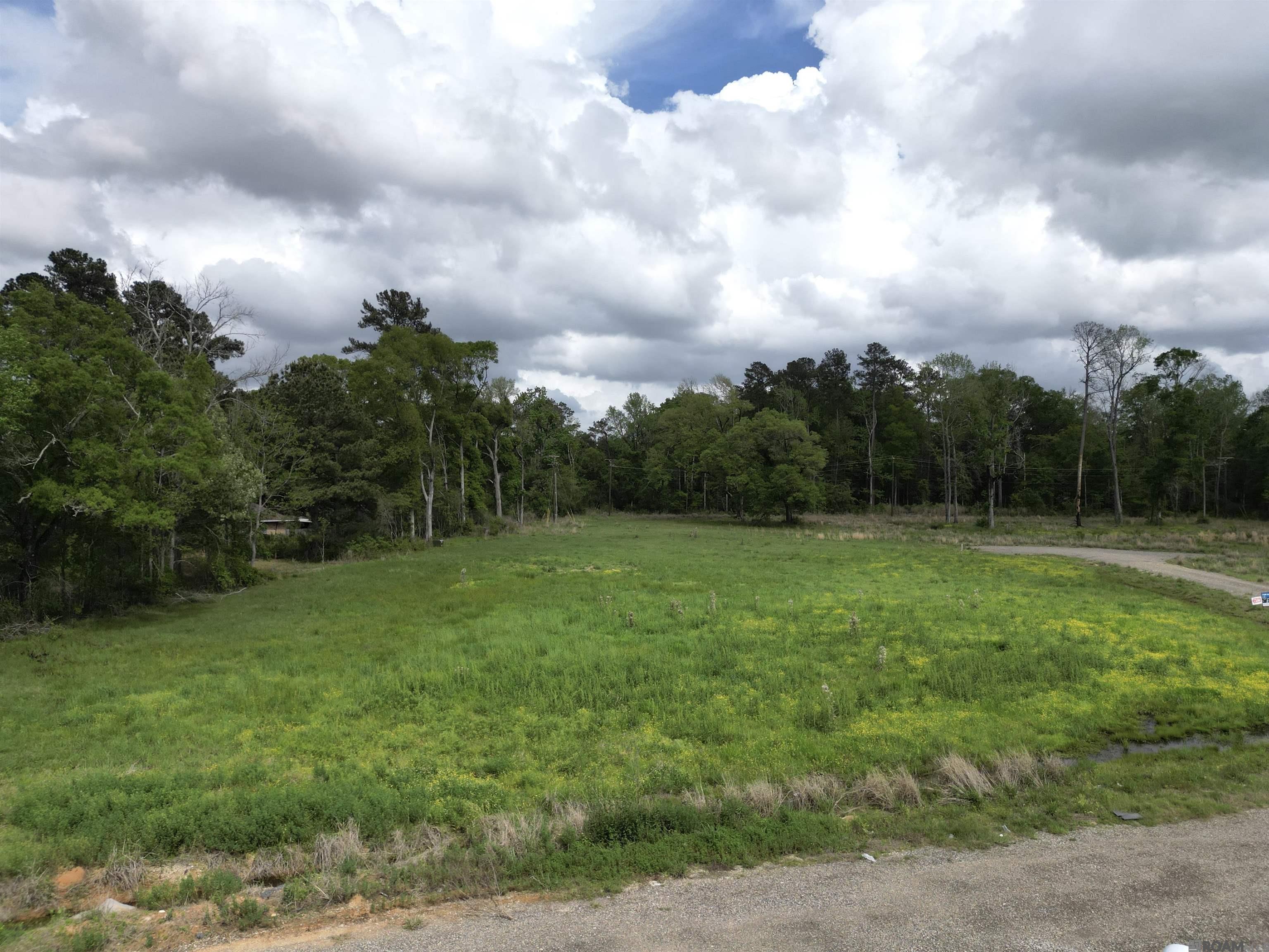 38738 La Hwy 16, Denham Springs, Louisiana image 9