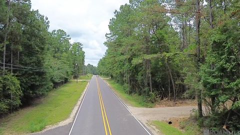 Vacant Land For Sale - 83234 Isabel Swamp Road<br/> Bush, LA 70431