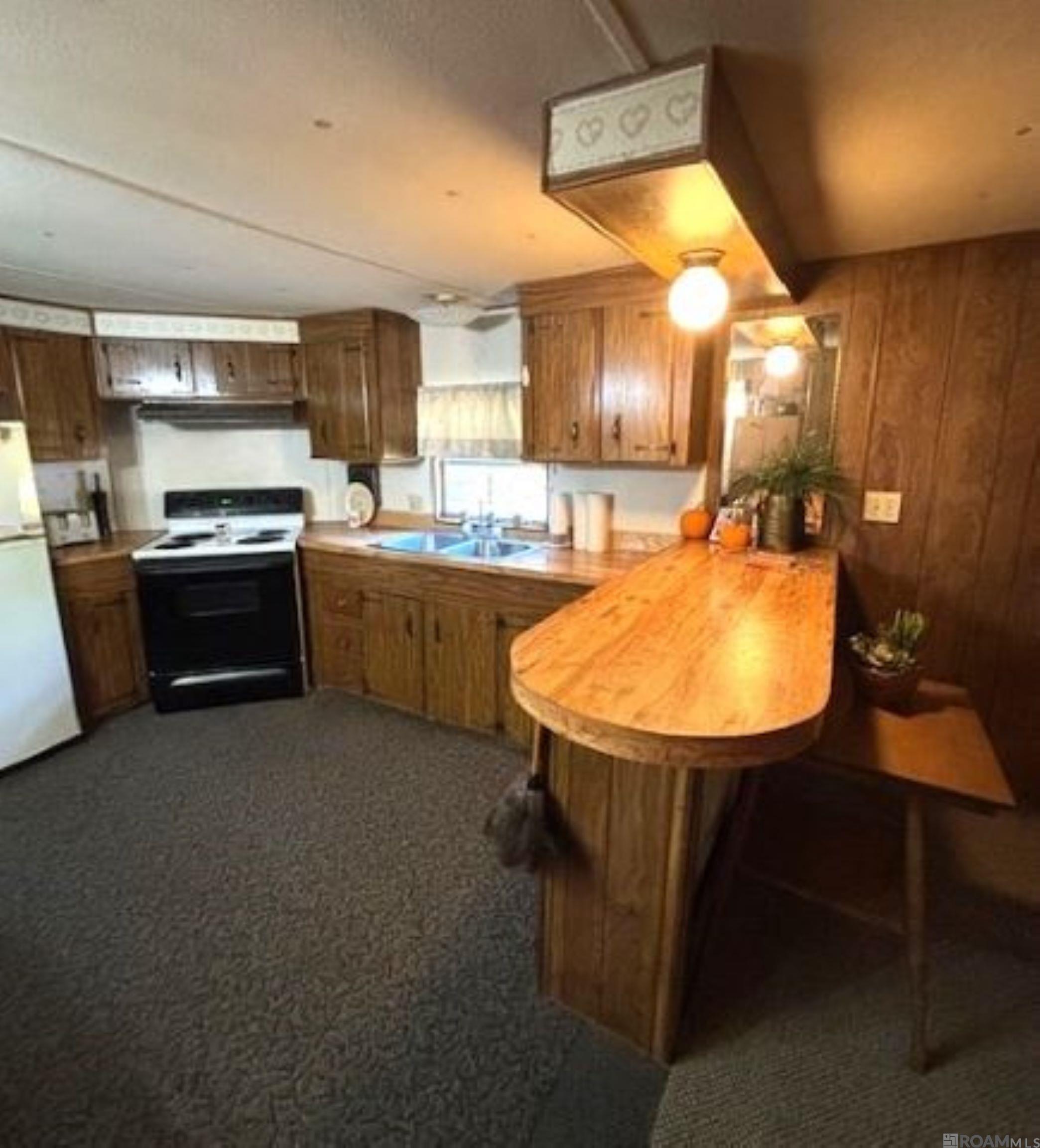 24257 Brian St, Denham Springs, Louisiana image 1