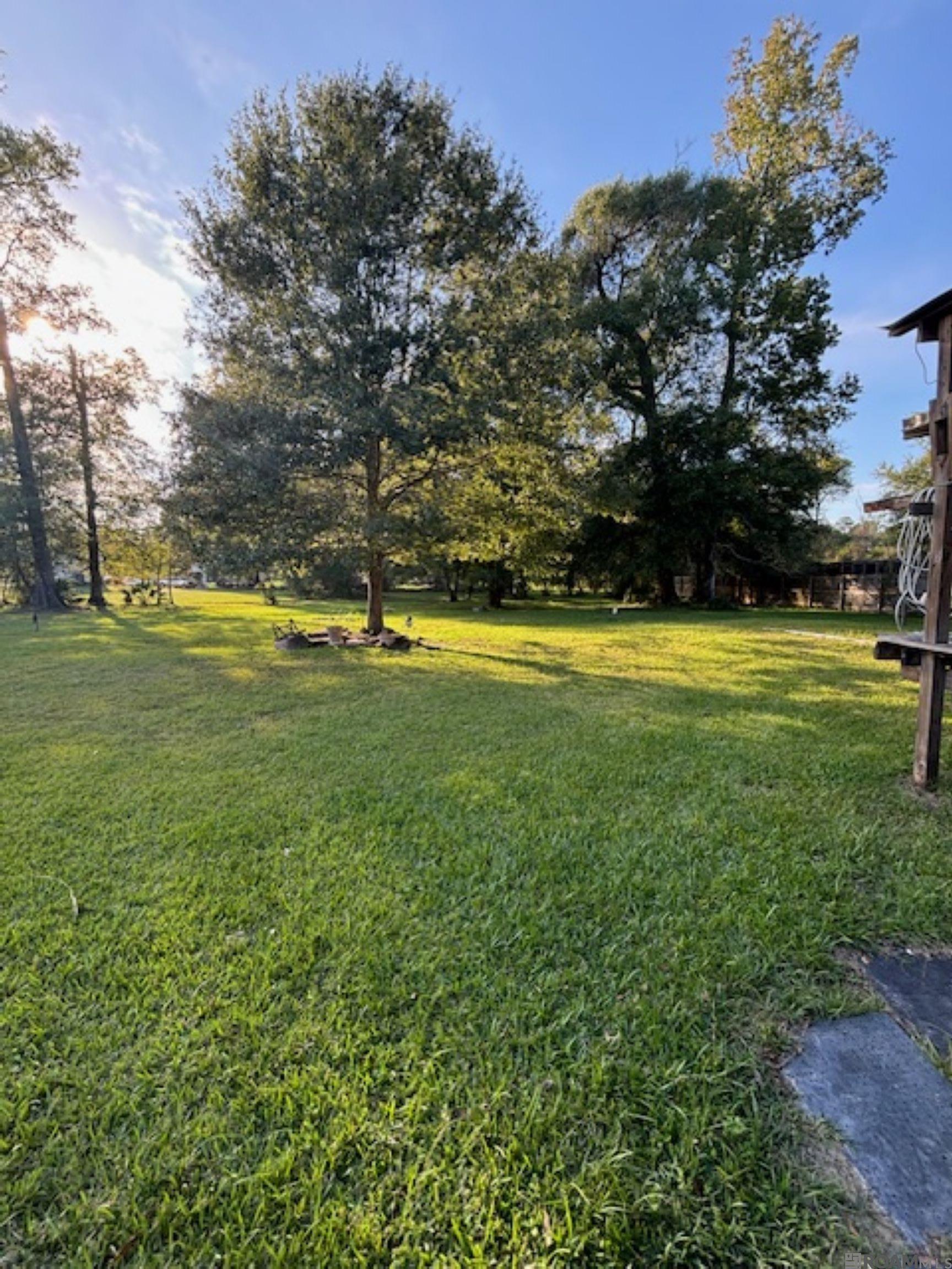 24257 Brian St, Denham Springs, Louisiana image 2